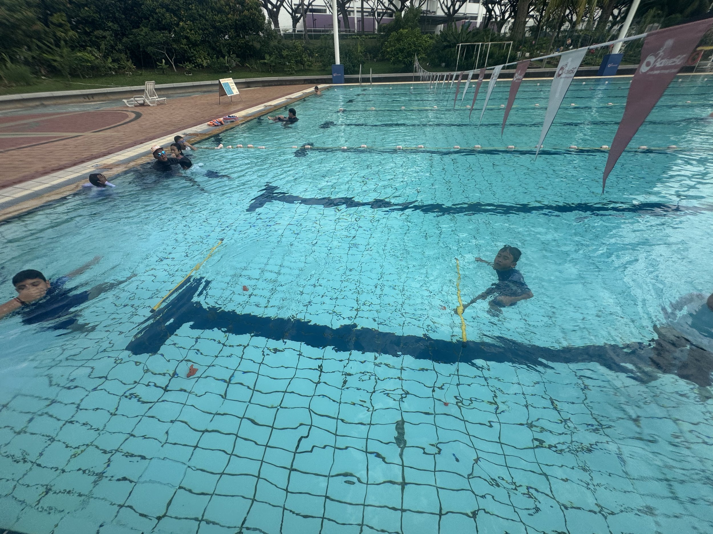 People swimming and relaxing in an outdoor swimming pool with lane dividers, surrounded by a poolside area with chairs and greenery.
