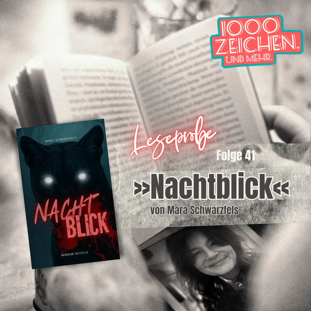 Nachtblick Mara Schwarzfels