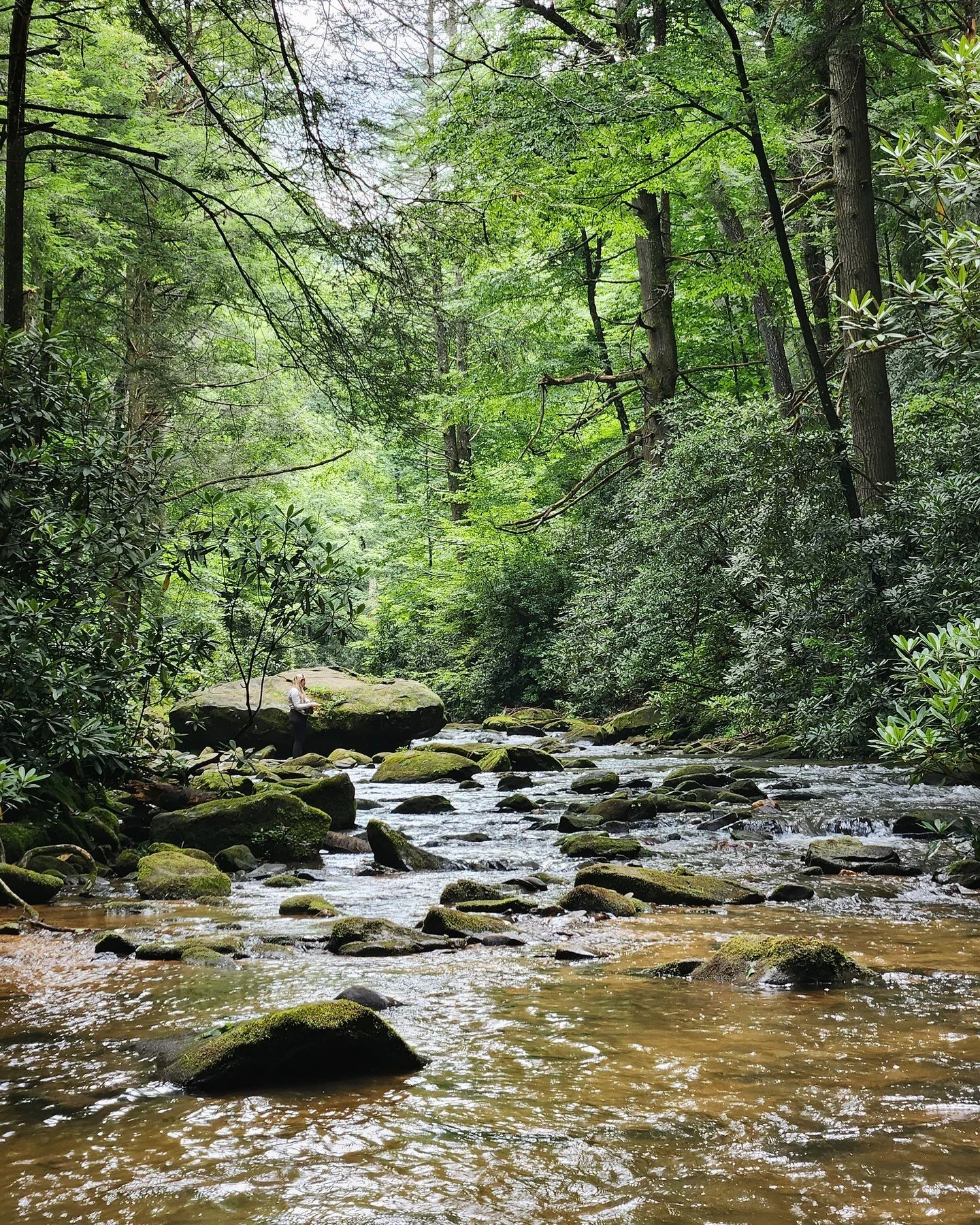 Georgia has ~always~ been on my mind