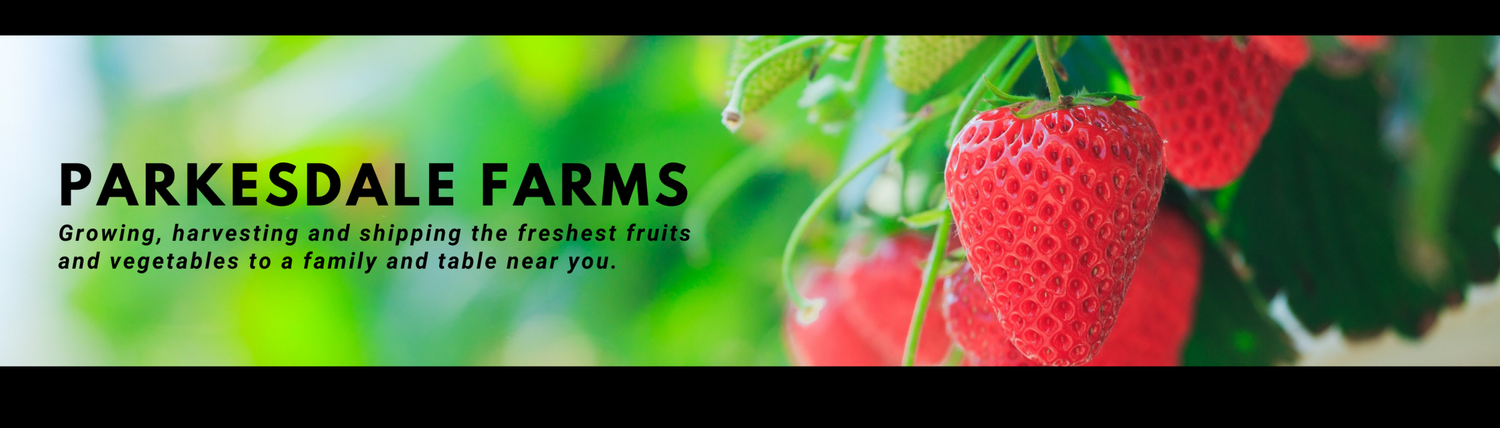 Strawberries growing on the plant