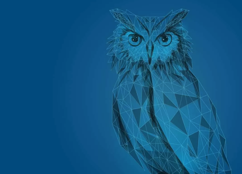 Blue Owl Capital