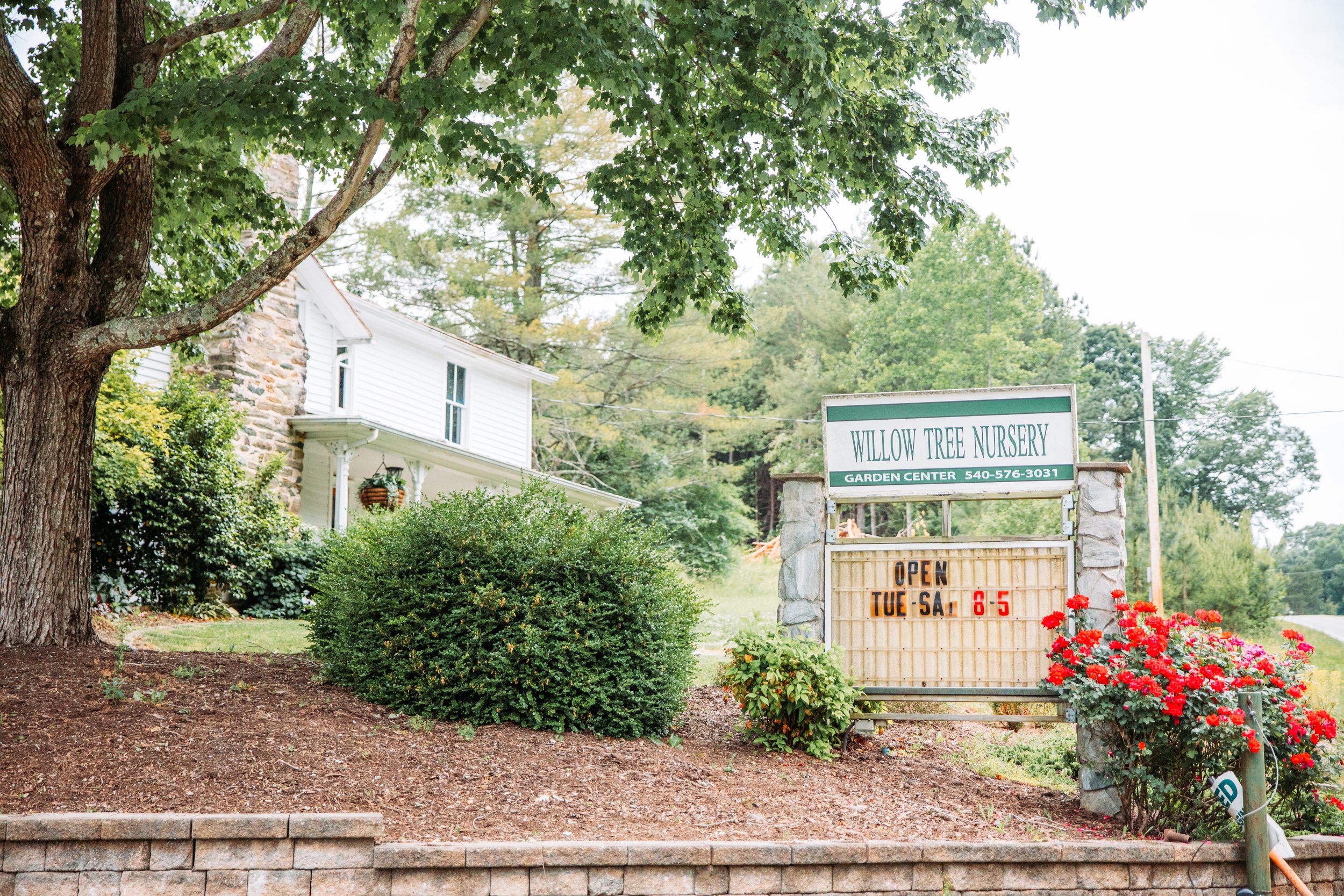 Willow Tree Nursery