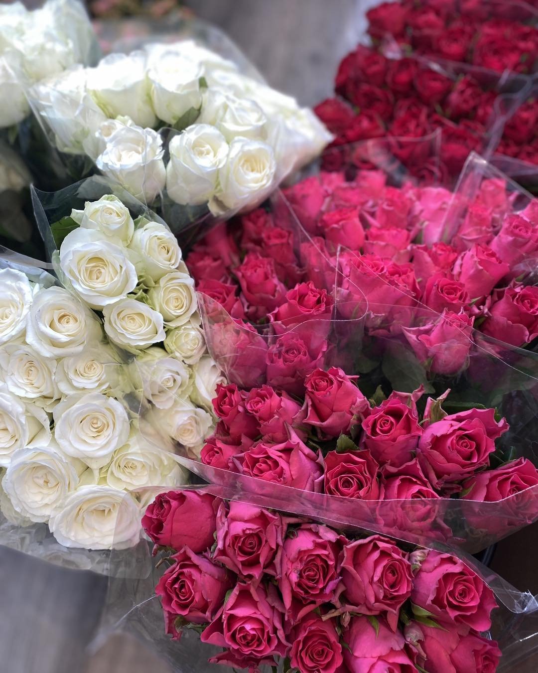 Vi har mottatt en ny forsendelse med vakre blomster i dag !! 🌸✨

Kom innom butikken og se det flotte utvalget vi har f&aring;tt inn. Det er noe for enhver smak, enten du leter etter friske snittblomster til &aring; lyse opp hjemmet ditt eller vakre 