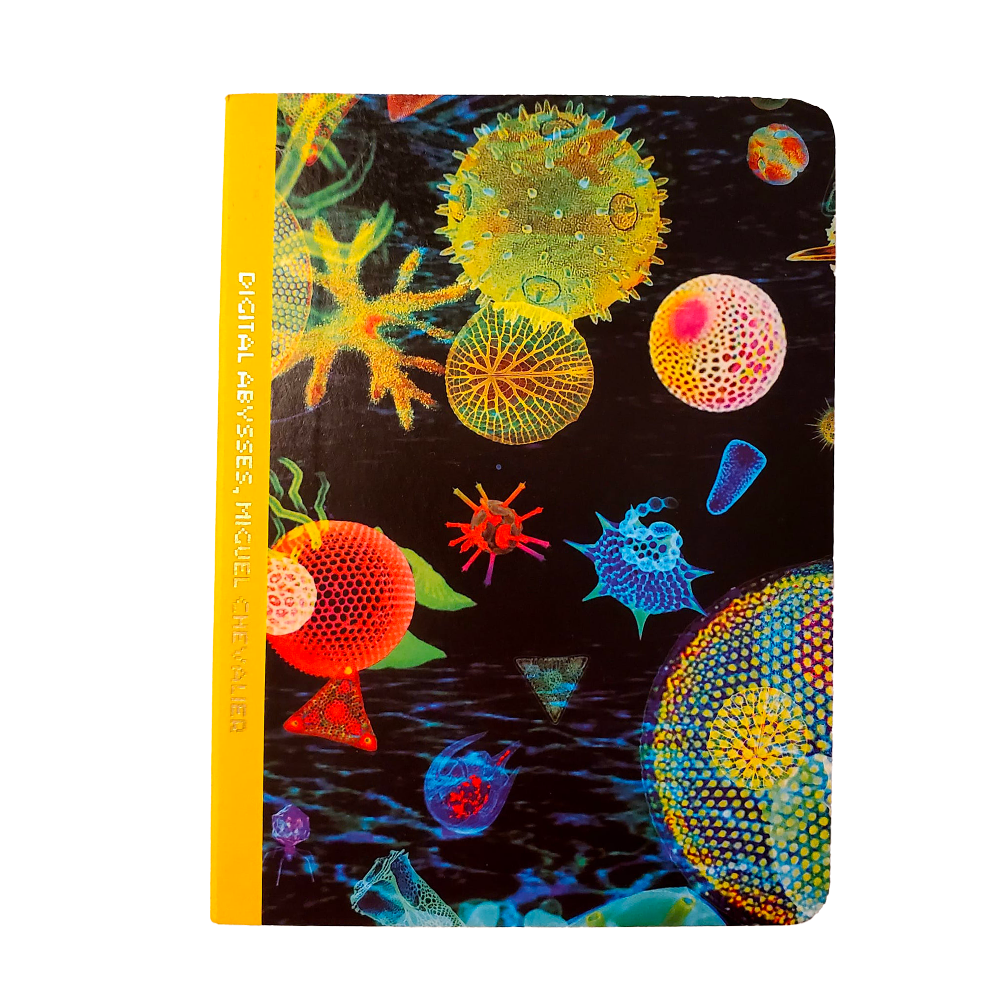 Carnet Jaune - Miguel CHEVALIER