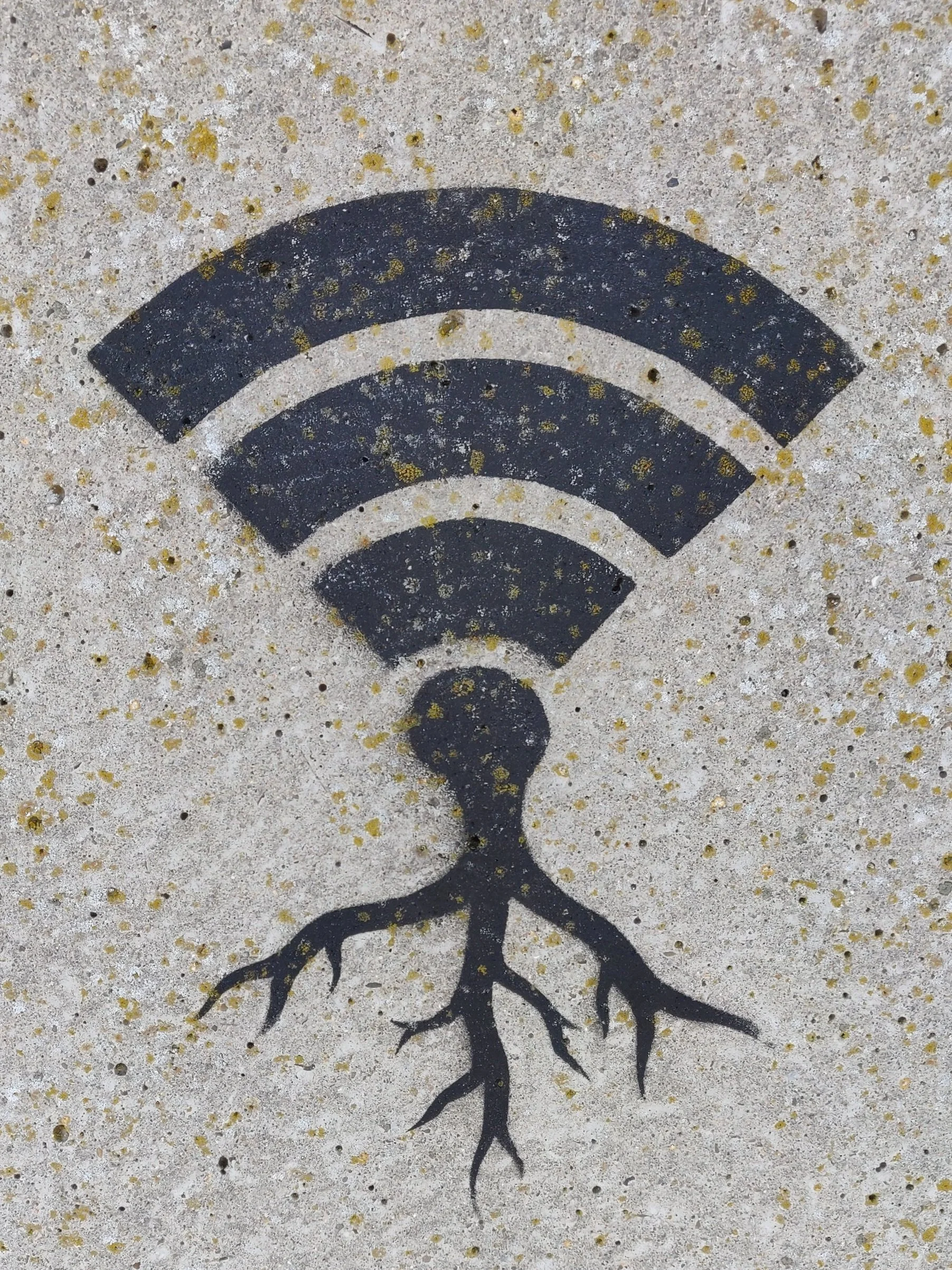 How to connect and ground to Gaia 2.0&nbsp;