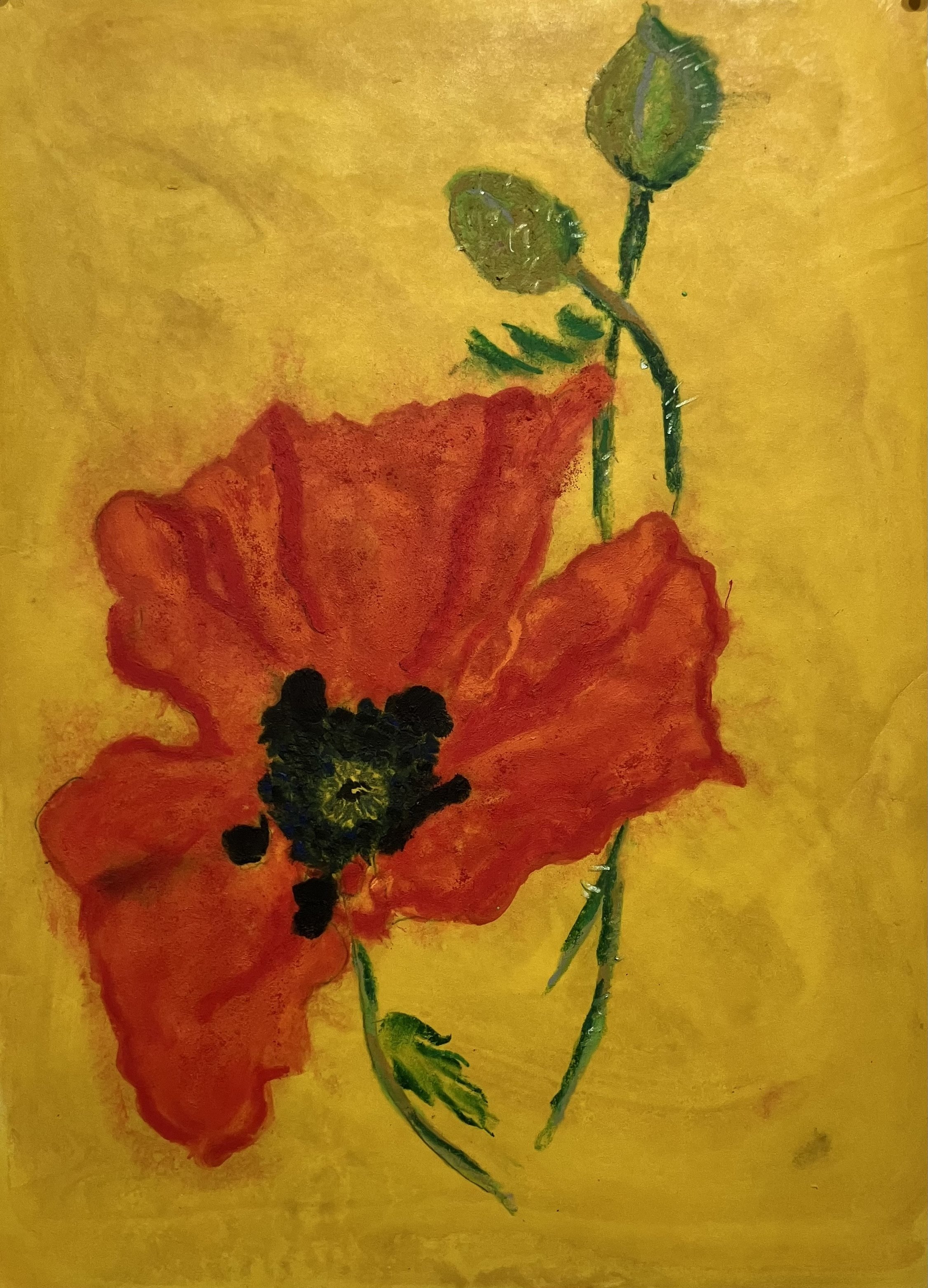 PEACE POPPY  Encaustic and Mixed Media on Paper;. Image size 18 x 12.75; 24 x 18.75 with frame. $950