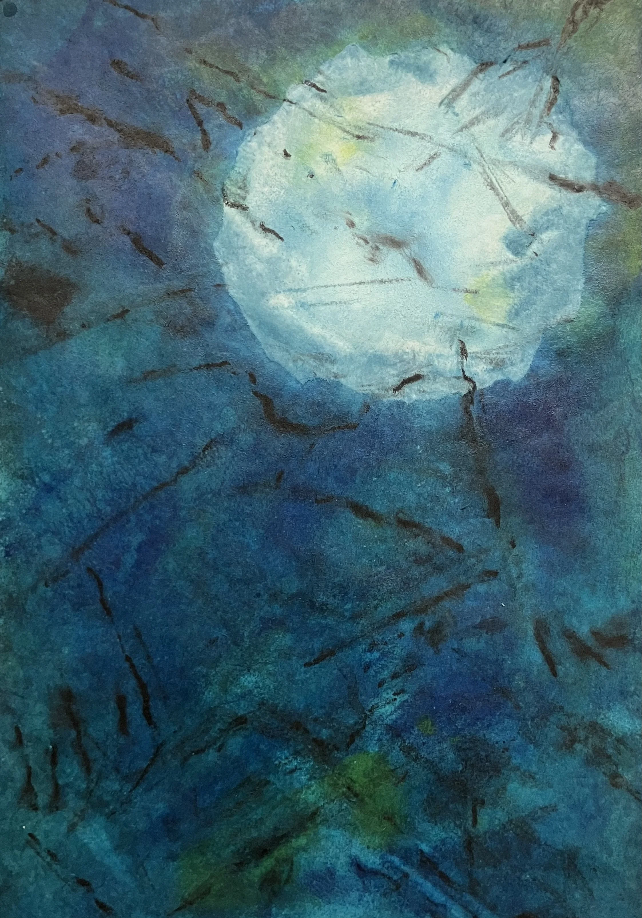 THROUGH THE BRAMBLES LIES THE TRUTH1  Encaustic and Mixed Media on Paper;. Image size 8 x 12; 24 x 18 with frame. $950