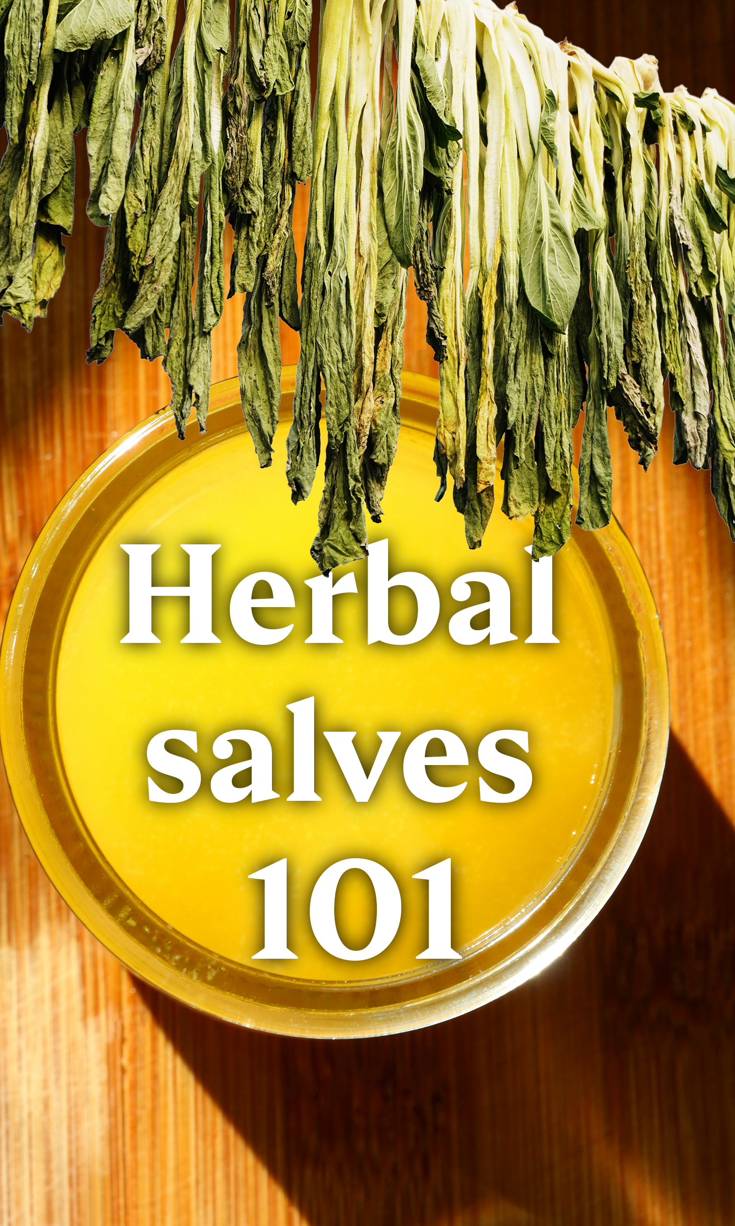 Herbal salves 101.png