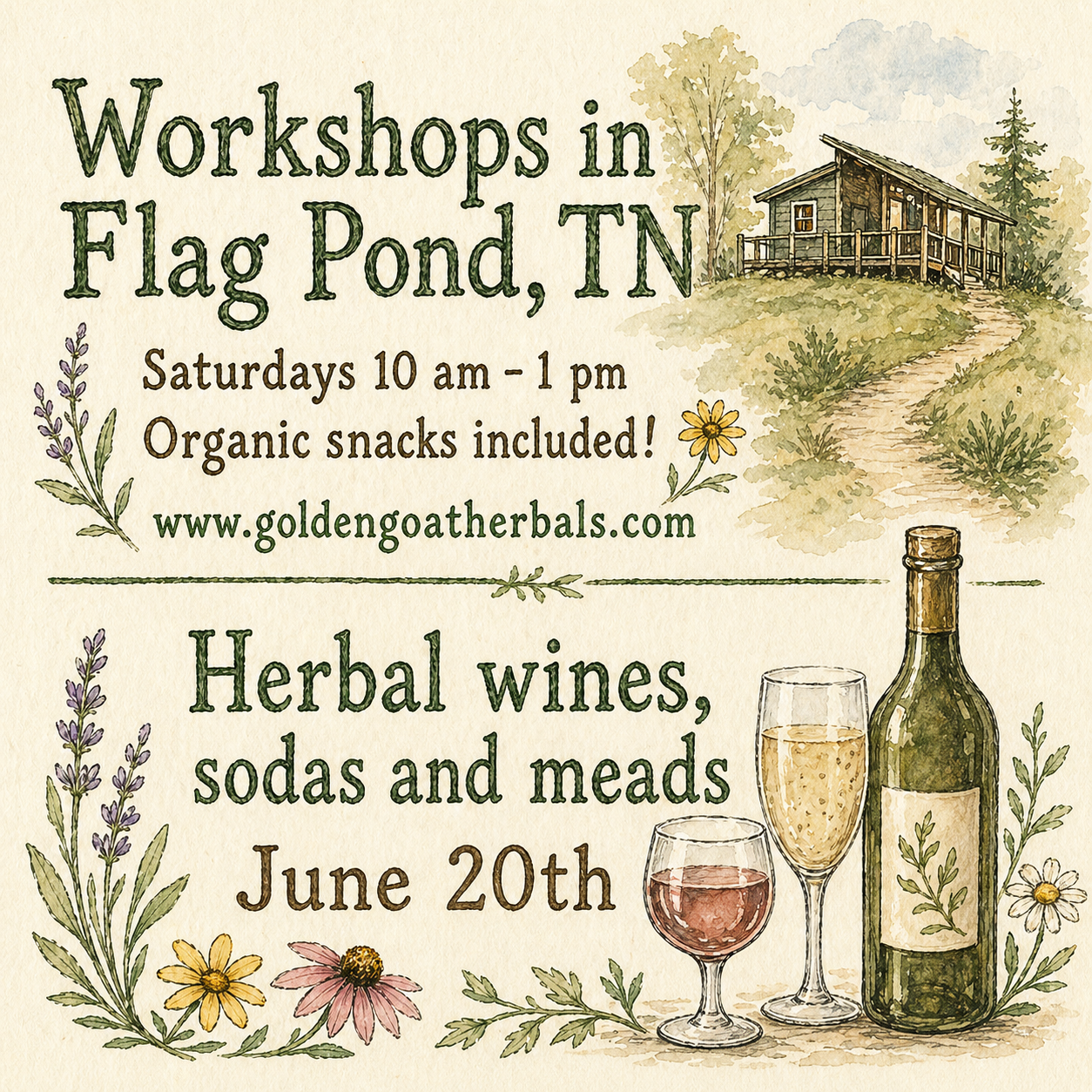 Herbal wines, sodas, meads 