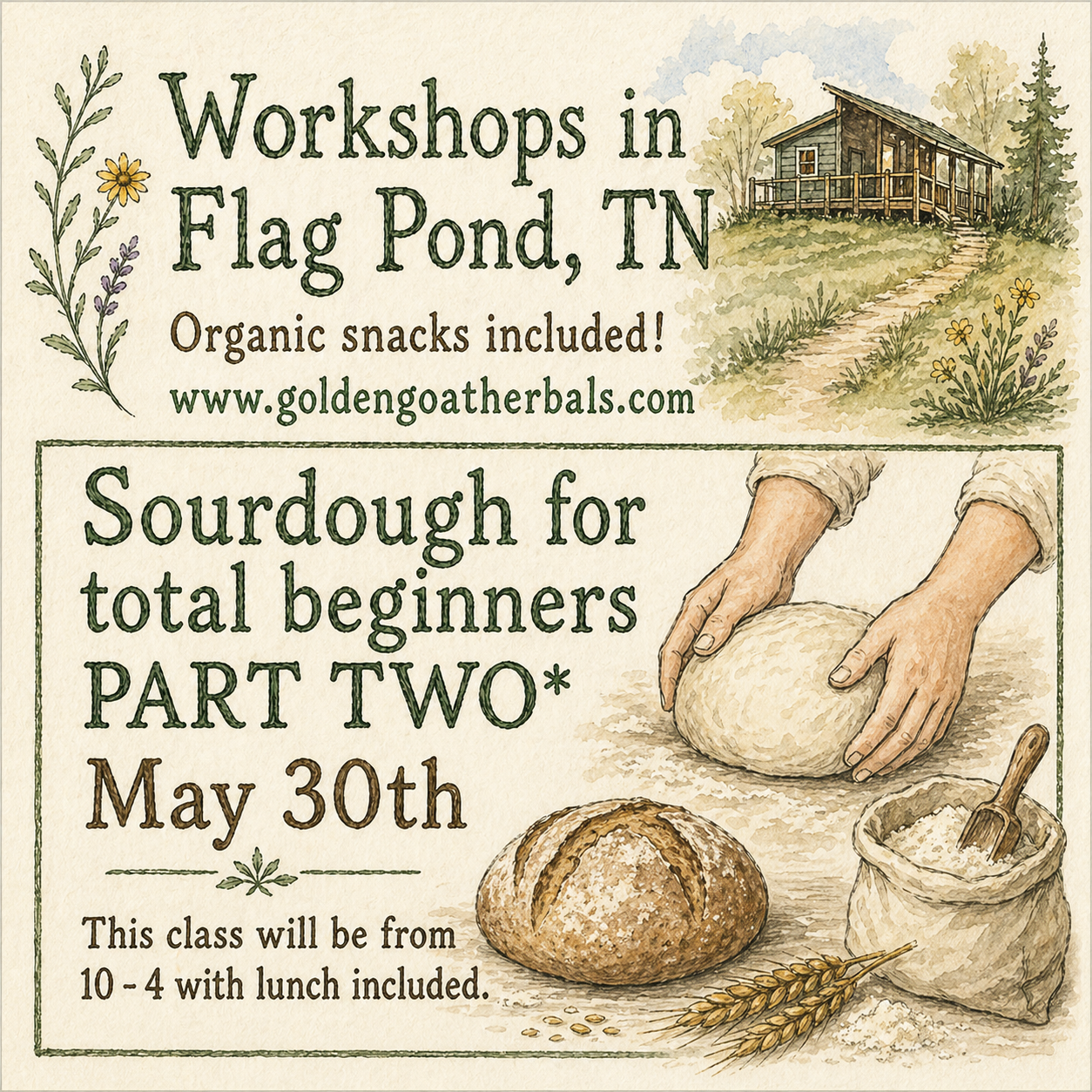 Sourdough for Beginners PART TWO