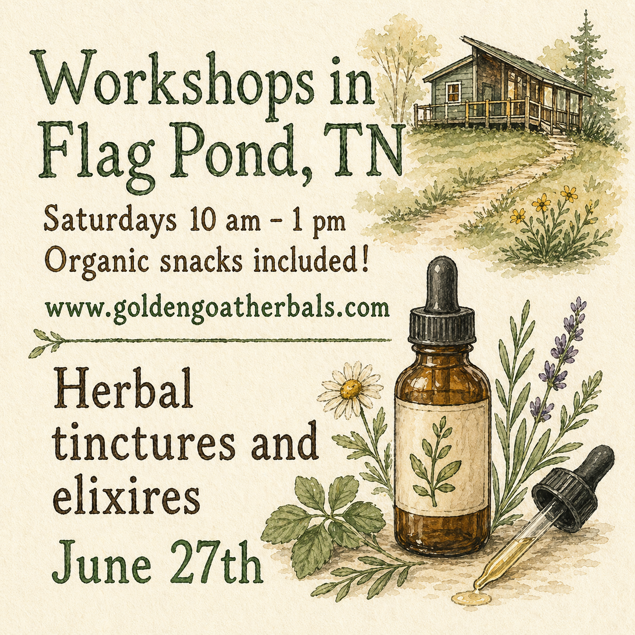Herbal Medicine: Tinctures and Elixirs