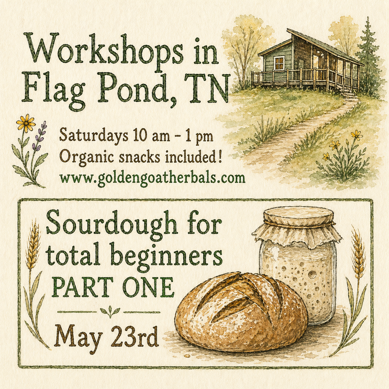 Sourdough for beginners PART ONE