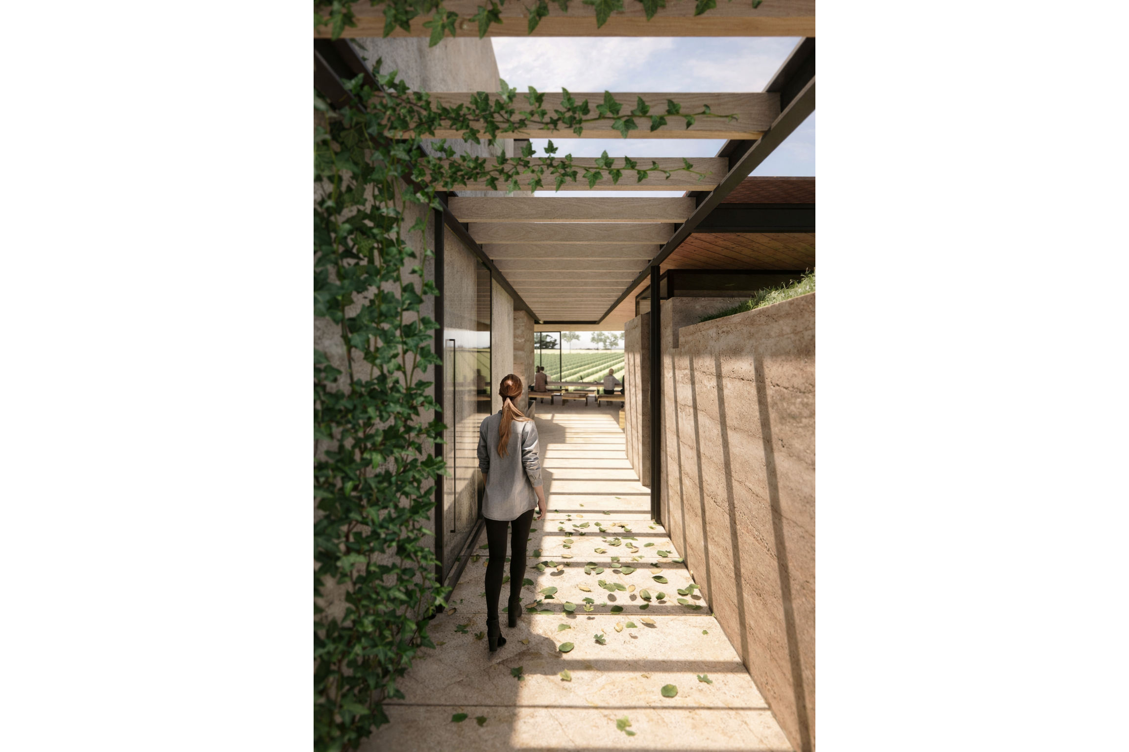 Ossian Architects and Studio Boyd - Freixial de Cima Tasting Room - Image 06