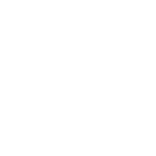 Classy Cat Entertainment