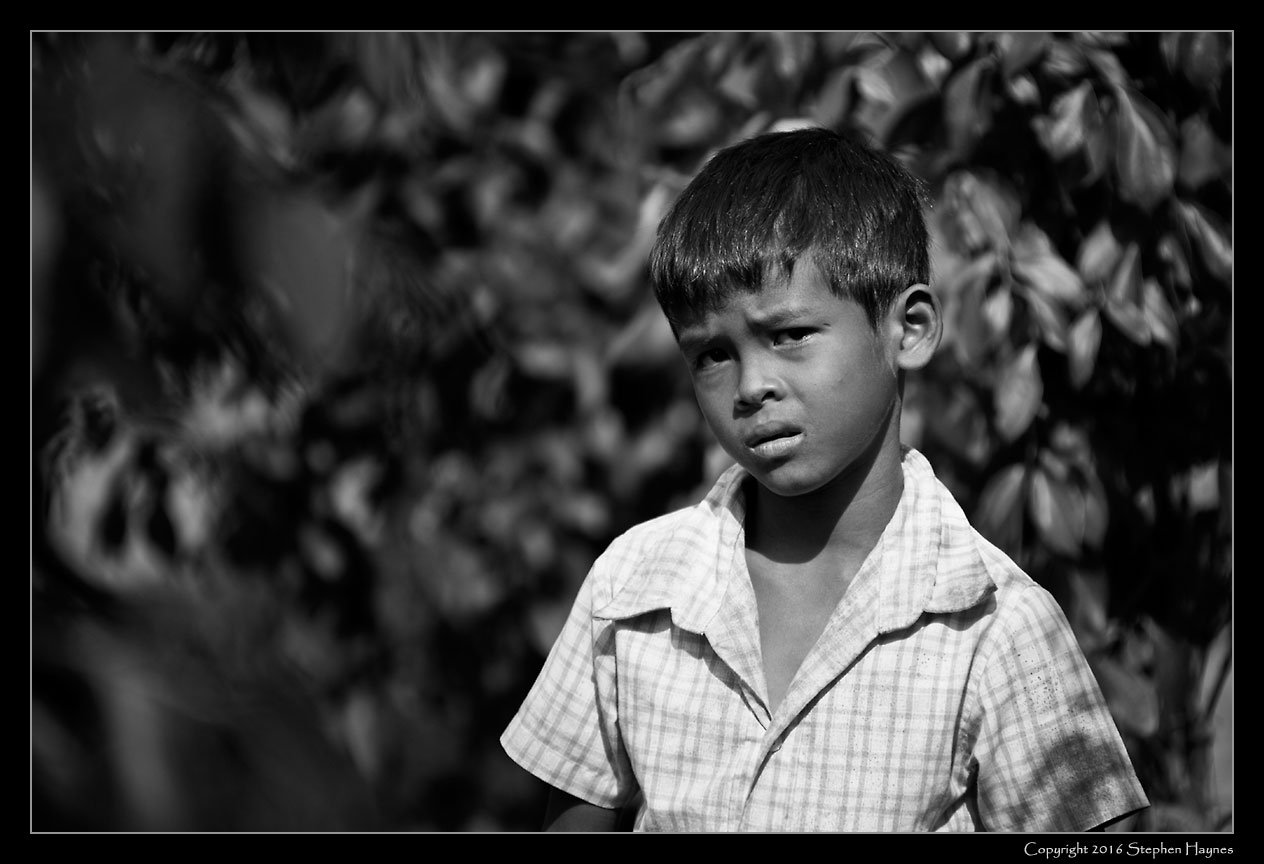 A Pepper Plantation, On the road east from Sihanoukville, Cambodia --
Young boy among the vines.