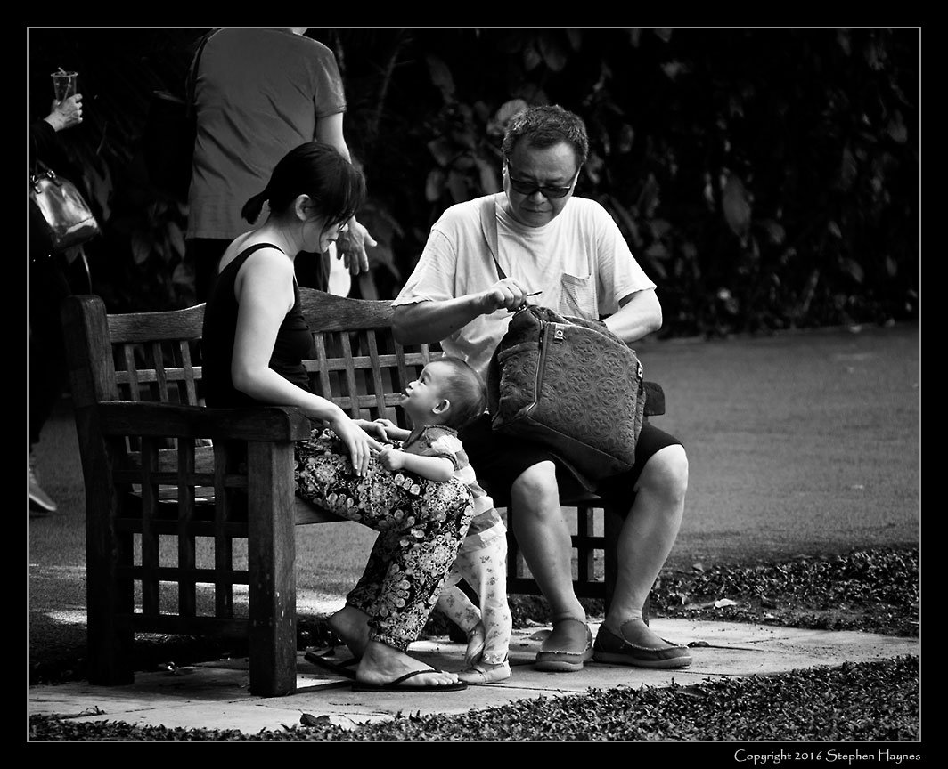 Singapore --
A couple with child on an outing in the Botanic Gardens.