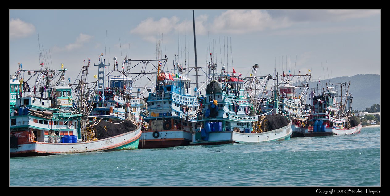 Nathon, Koh Samui, Thailand --
The fishing fleet. We did not see this distinctive ship design at any other port.