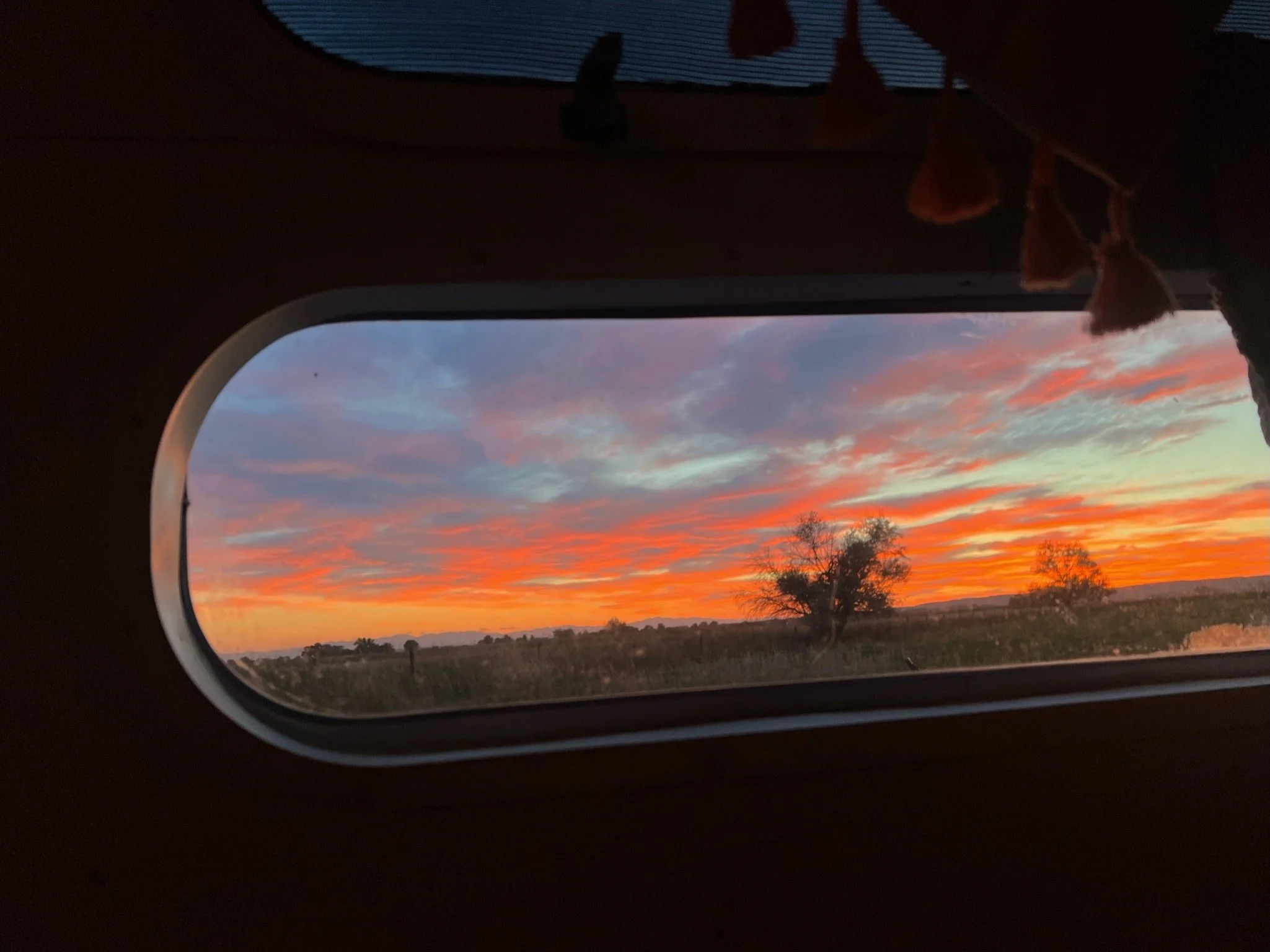 IMG_1564.jpeg