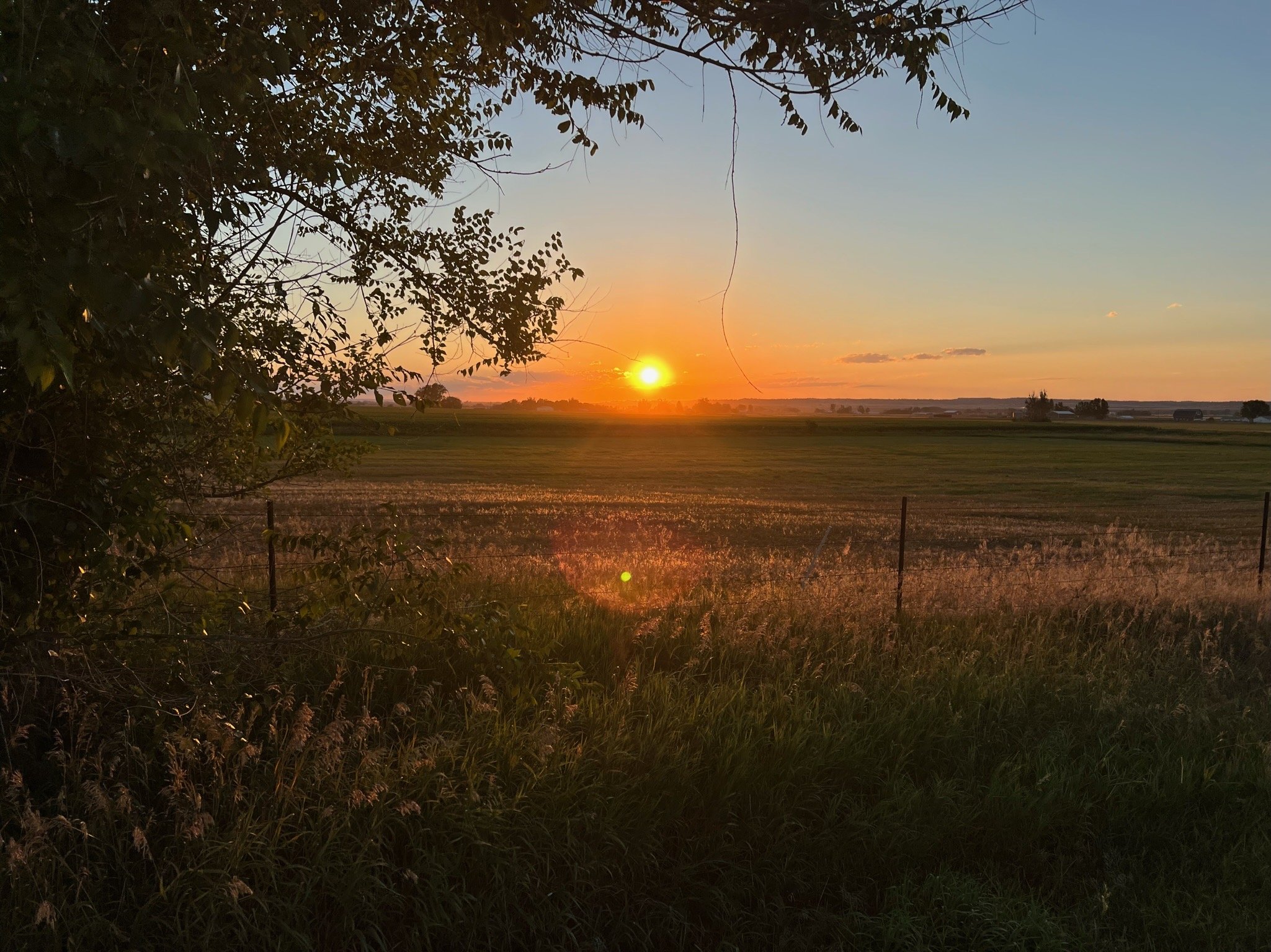 sunset.jpeg