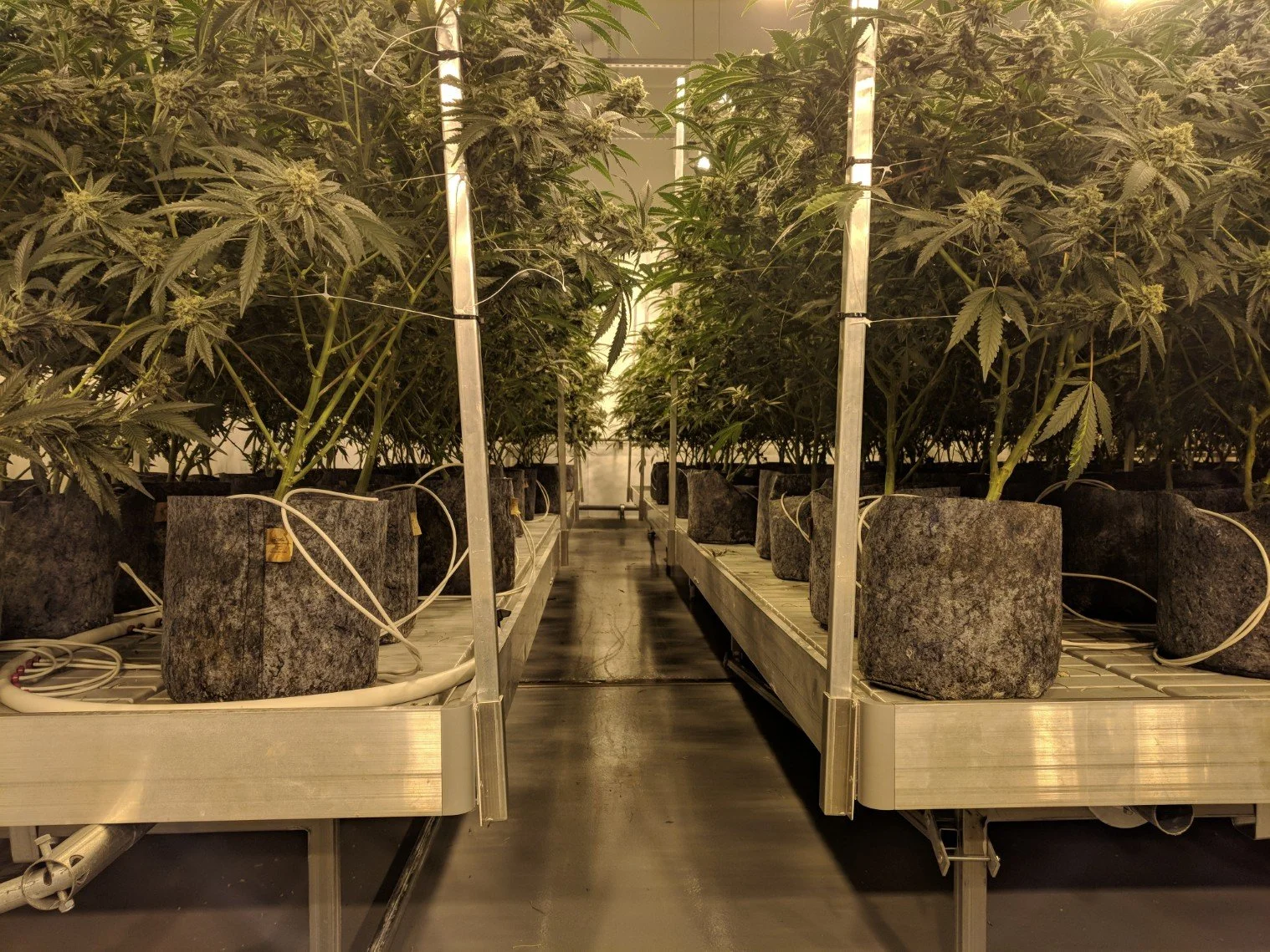 Root Pouch Charcoal Fabric — Root Pouch