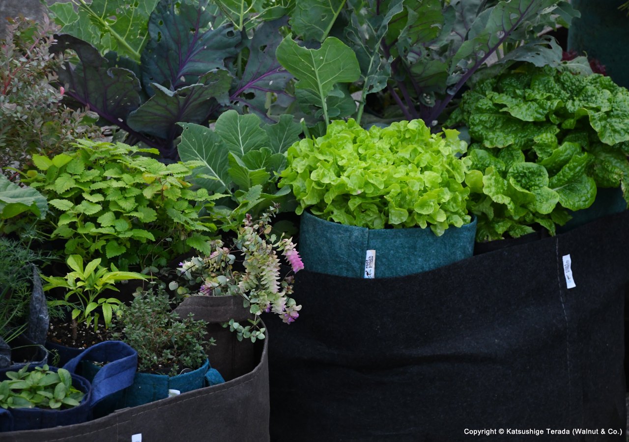 Eco-Friendly Natural Fiber Grow Bag Planters