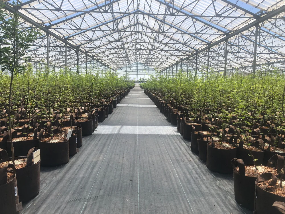 Root Pouch Boxer Fabric — Root Pouch