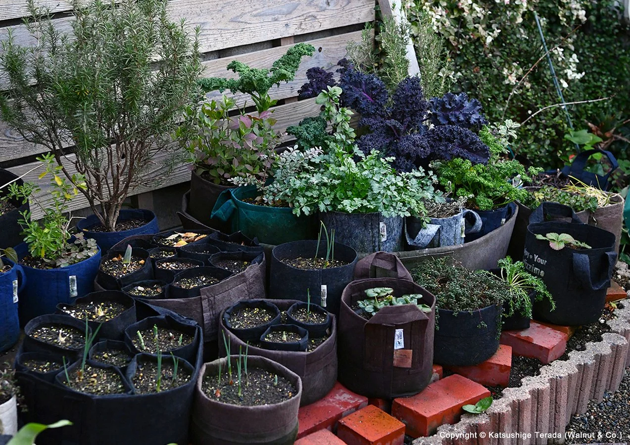 Sacs Root Pouches Multiples