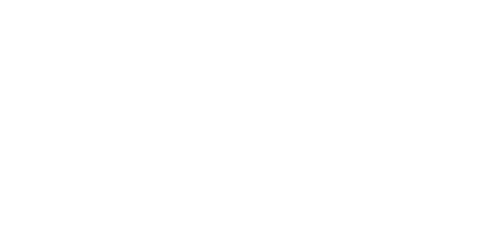 MNM Lilac Real Estate Partner Part II