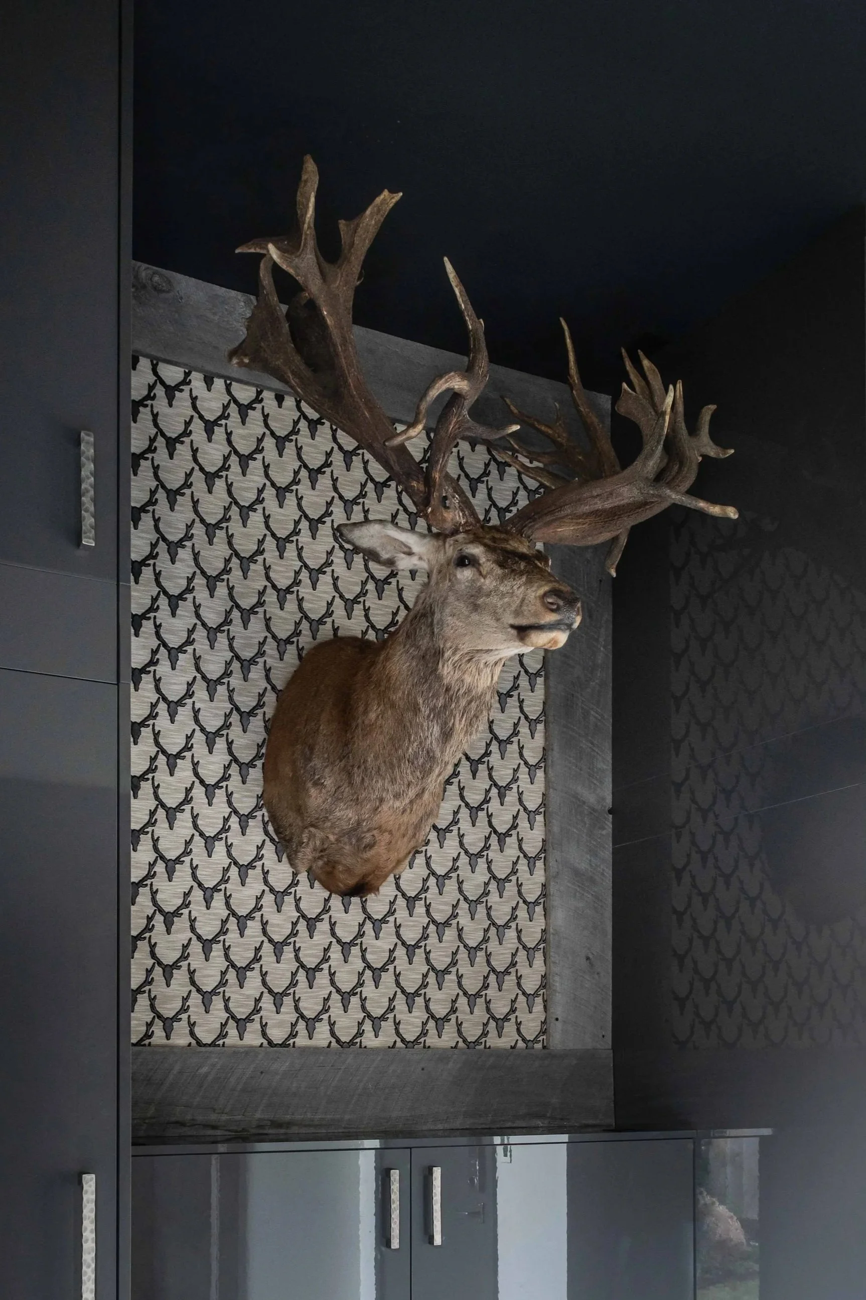 Deer+on+Deer+A.jpg