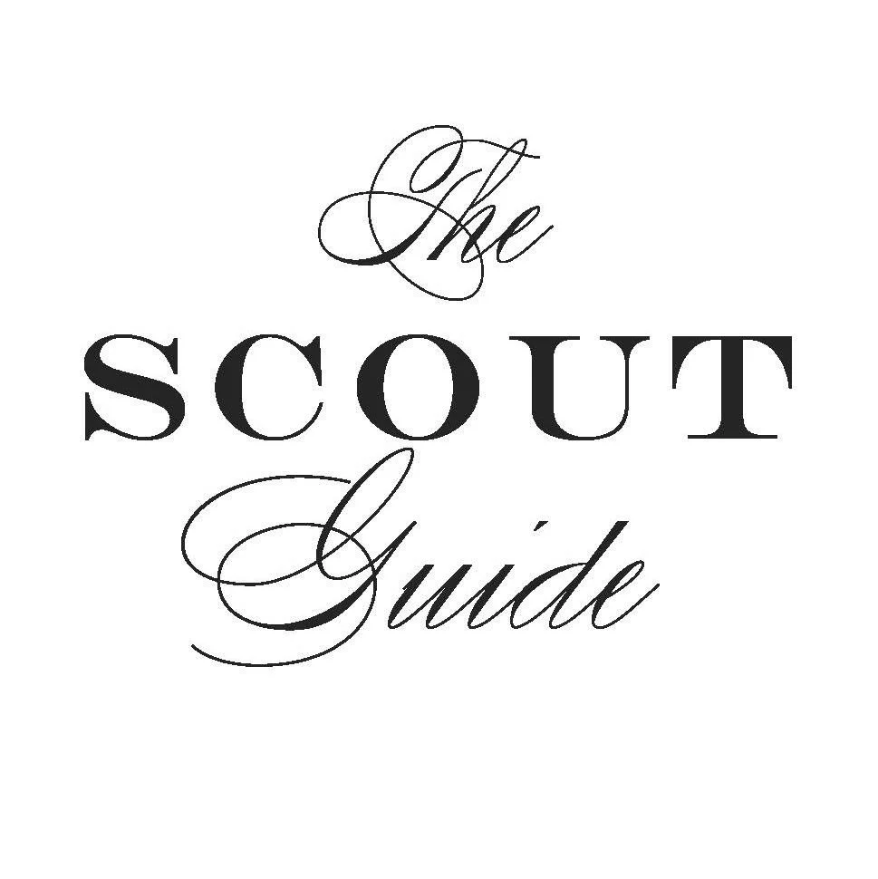 SCOUT GUIDE.jpeg