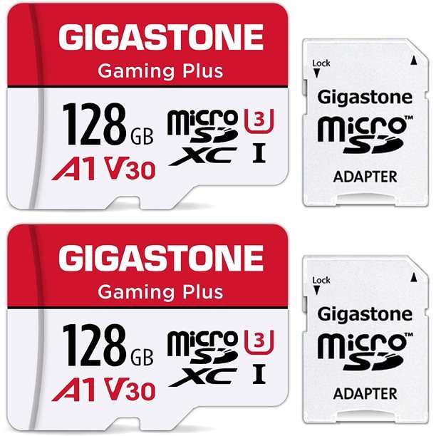 gigastone.jpeg