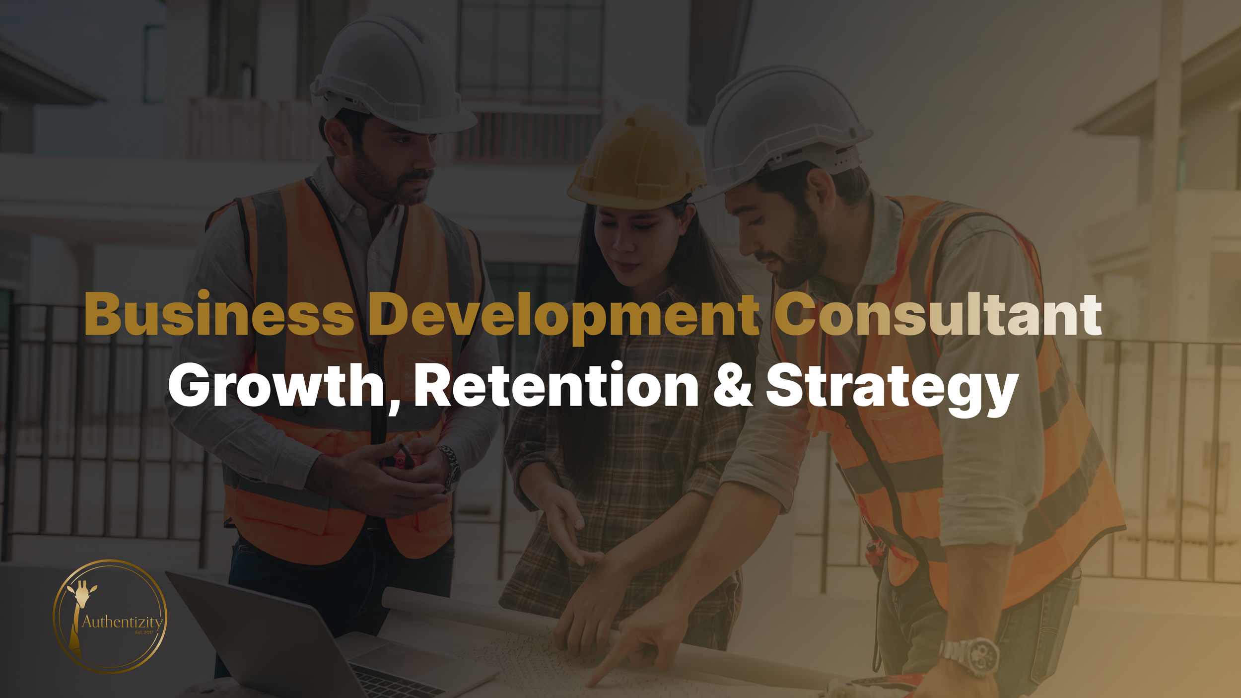 Business Development Consultant: The Complete Guide to Sustainable Growth, Client Retention, Leadership Development, and Business Development Strategy
