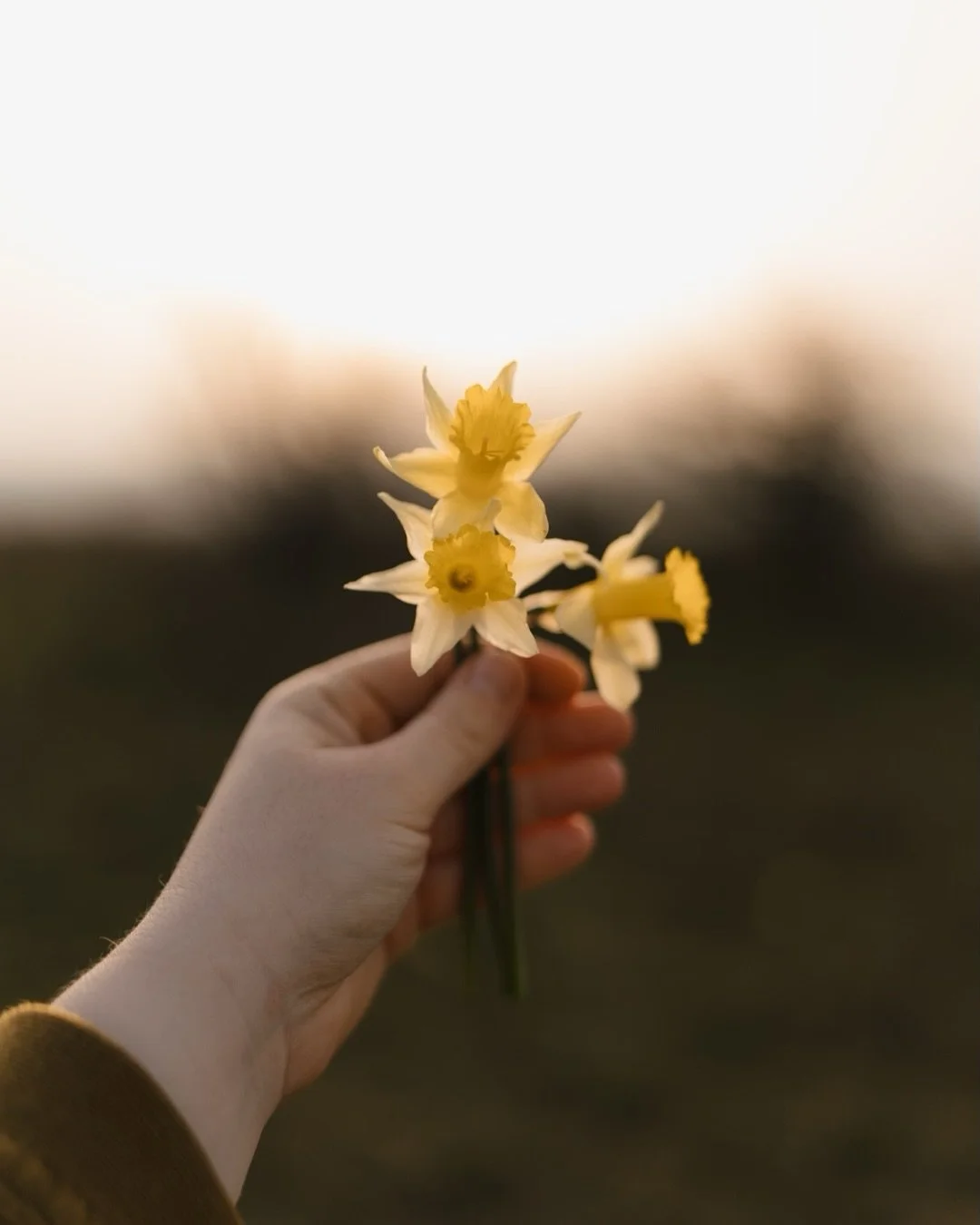 Le printemps s&rsquo;en vient 🌼

Avec les belles journ&eacute;es ensoleill&eacute;s, toute la nature se r&eacute;veille, bourgeonne et fleurit 😍 

J&rsquo;ai profite d&rsquo;une balade en famille pour sortir l&rsquo;appareil, et nous cr&eacute;er d