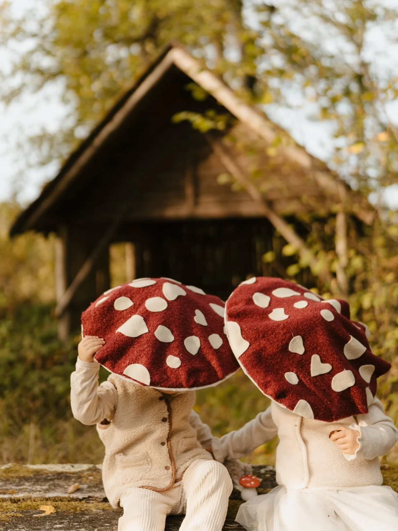 Deux petits liliputiens champignons 🍄

Tout est parti d&rsquo;un do it yourself que mon amie @emilie_md m&rsquo;a envoy&eacute;. Je lui ai de suite r&eacute;pondu go ! Elle a g&eacute;r&eacute; la cr&eacute;ation des chapeaux et on est all&eacute;s 