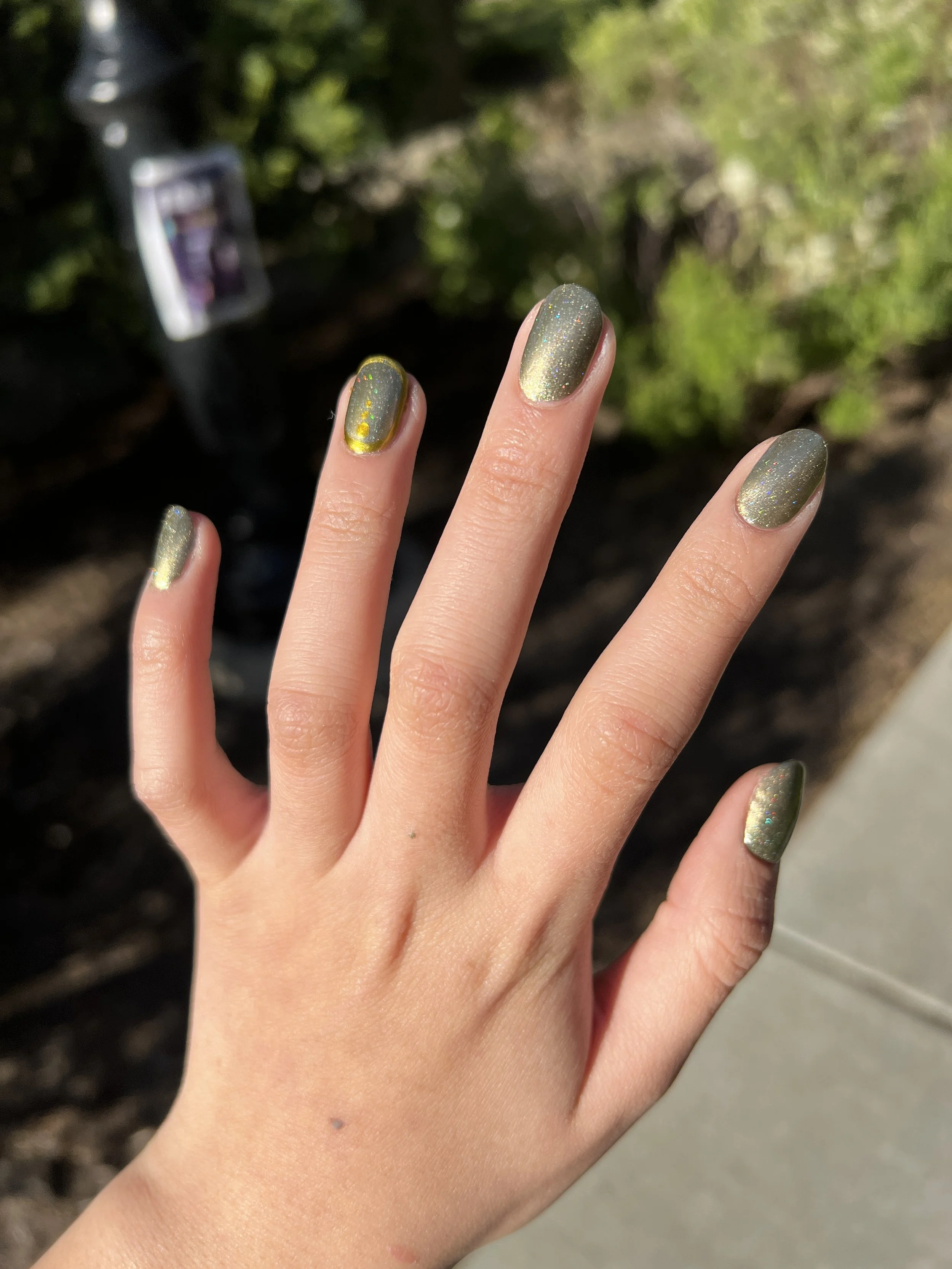 Olives