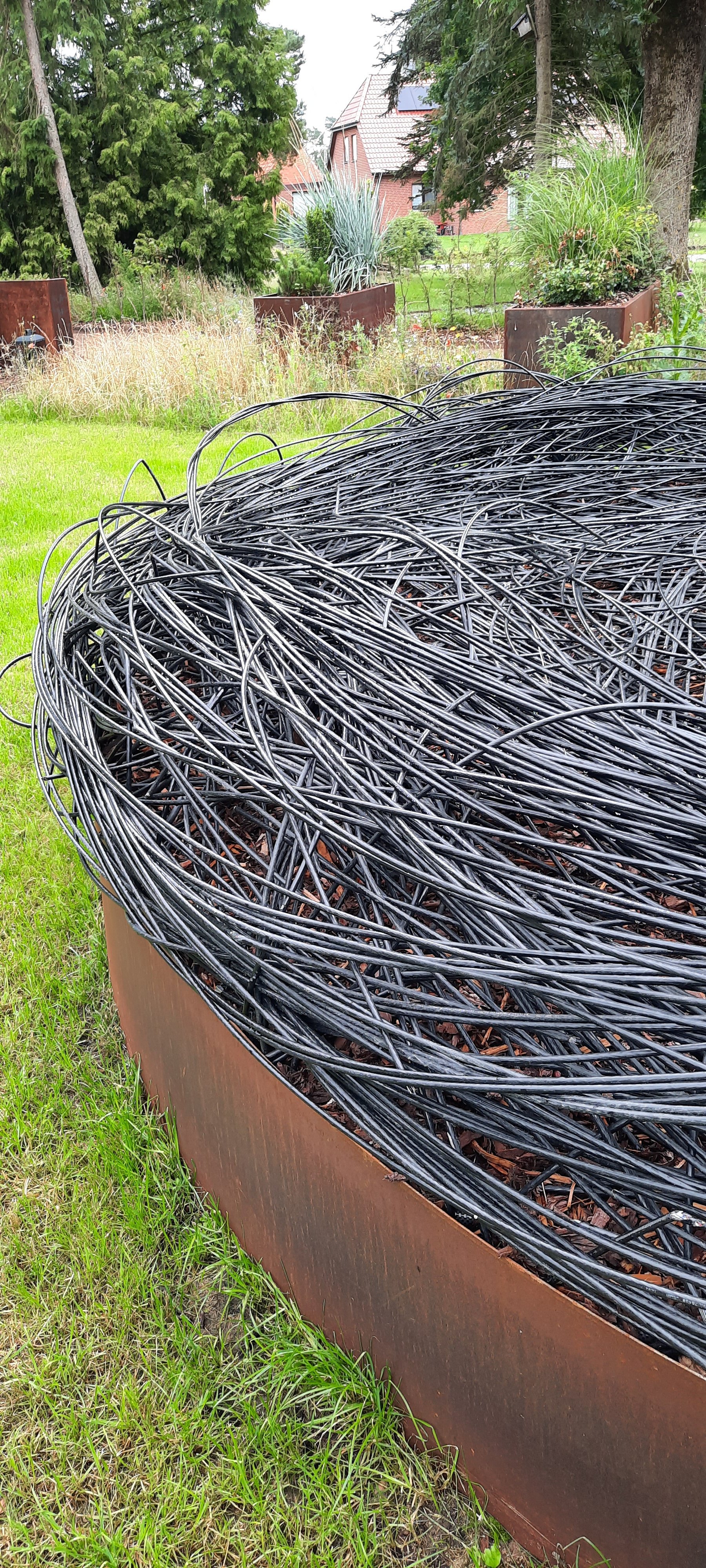 NEST