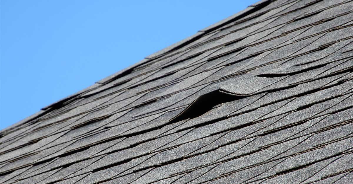 Bold North Roofing Wind Damaged Roof Shingles