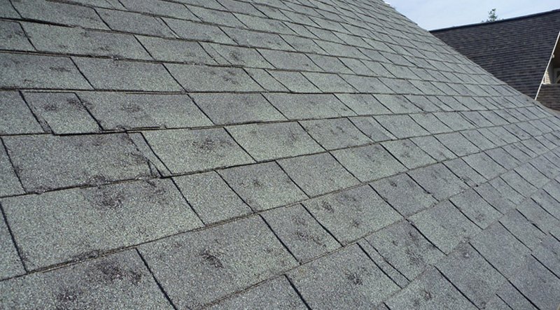 Bold North Roofing Hail Damage to Roof