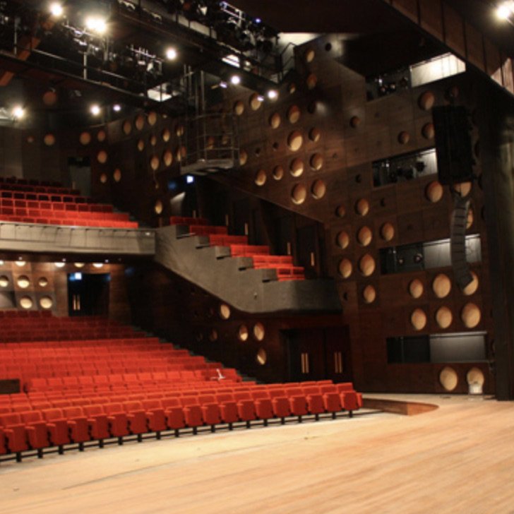 Wilminkthéâtre, Enschede