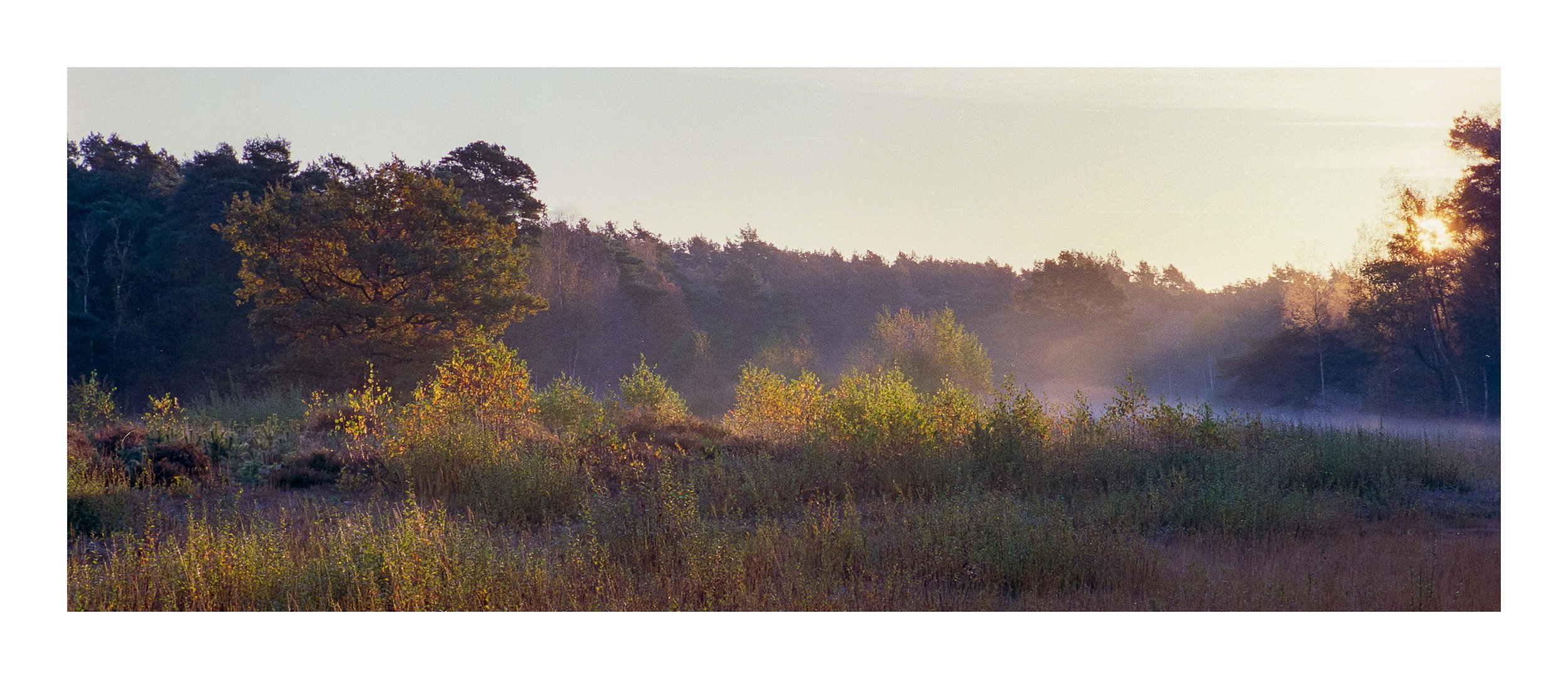 2021-11_Kodak-Portra160 (1 von 1)-2.jpg