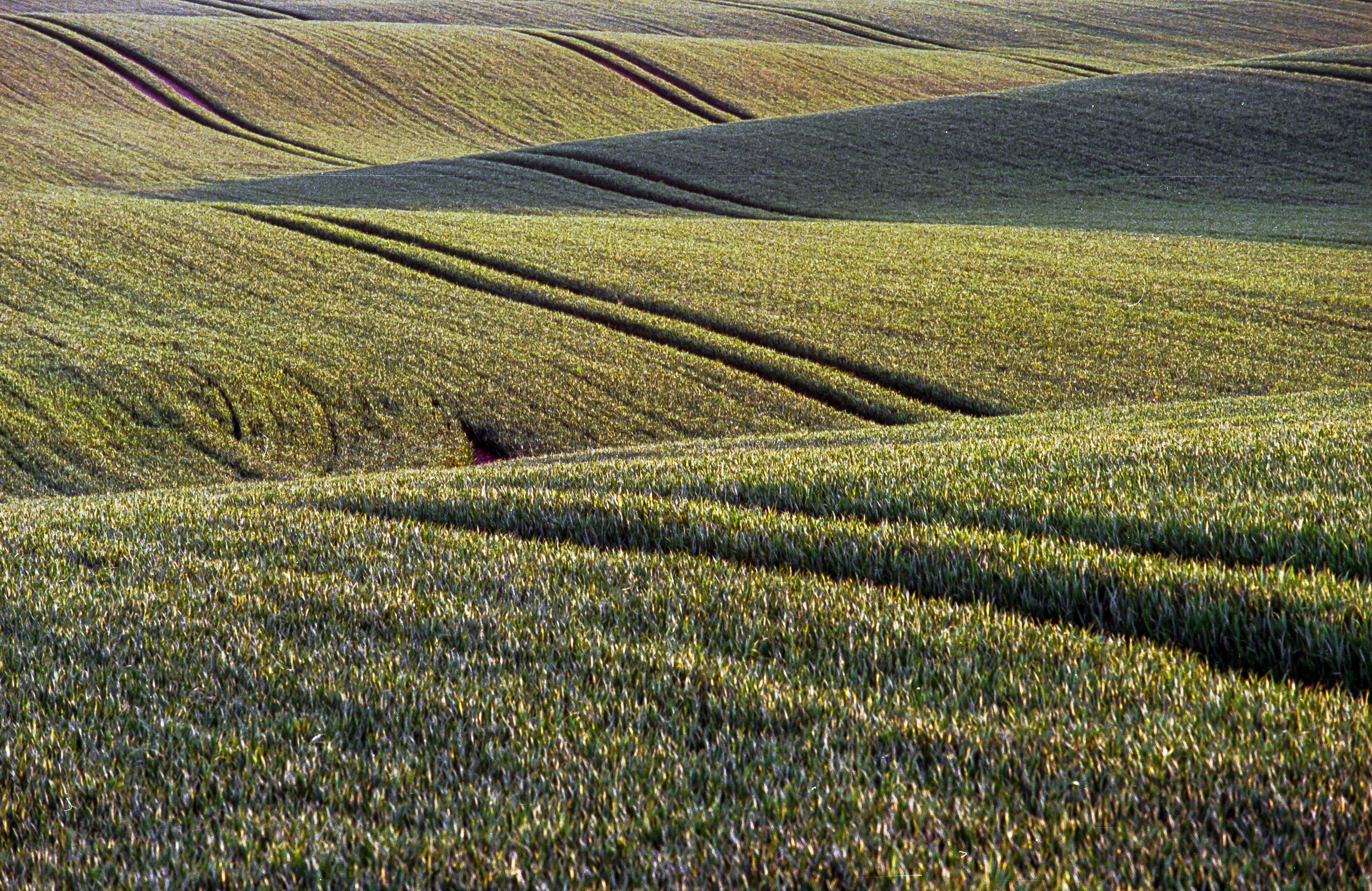 2022-05 Kodak Ektar Dänemark (5 von 29).jpg