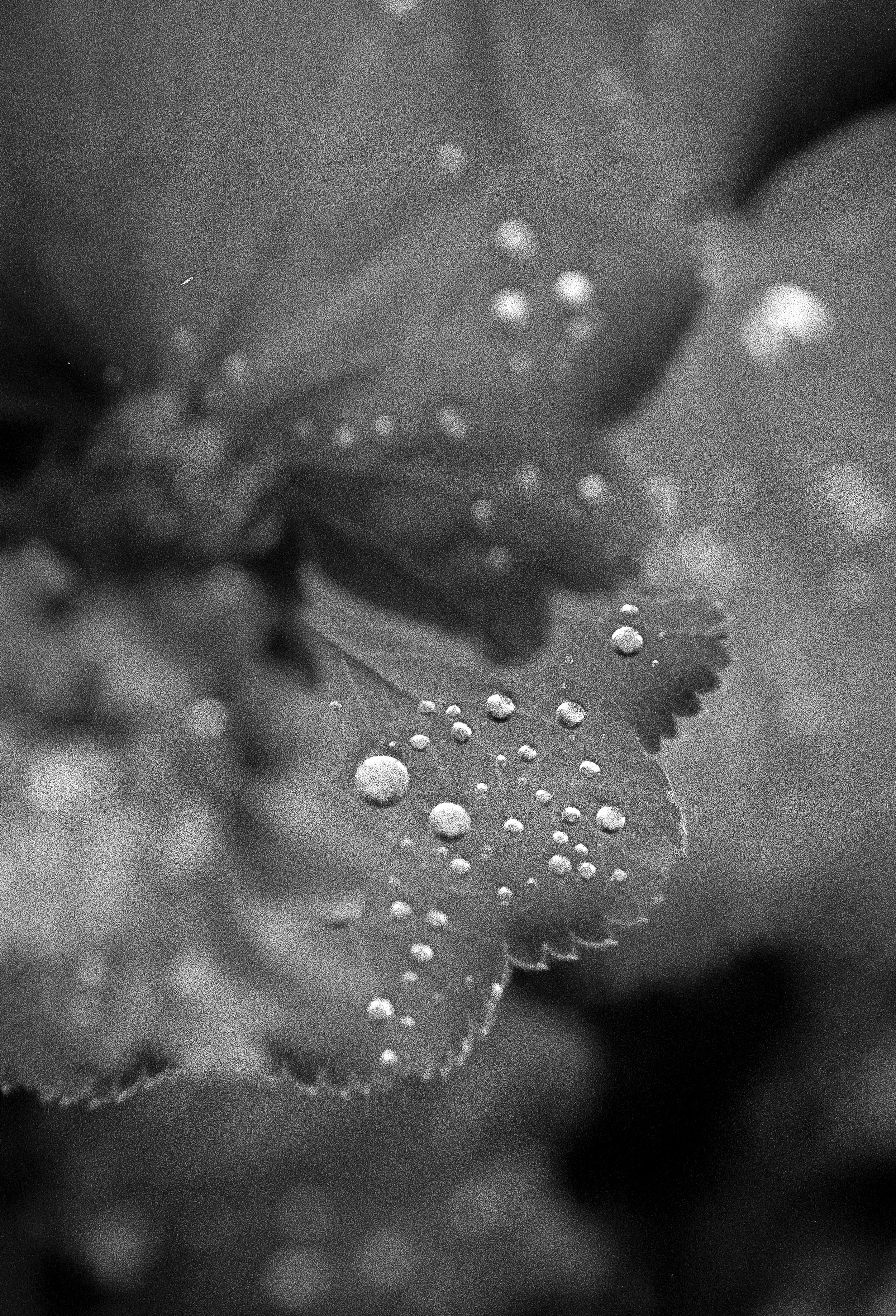 2026-08-24 Summer Spanien HP5  (10 von 24).jpg
