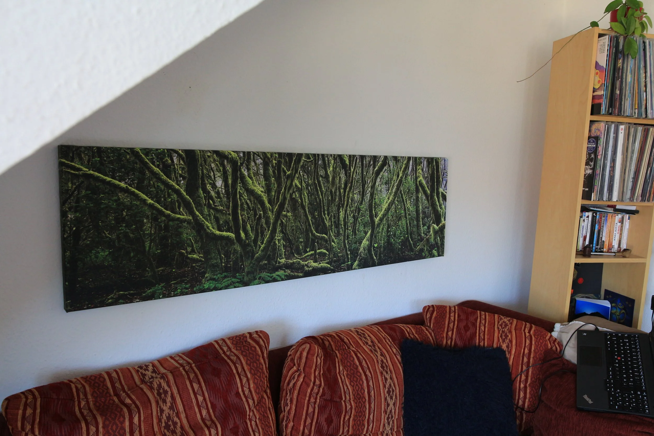 Garajunay_Magic_Forest_Pano_Livingroom_Print.JPG