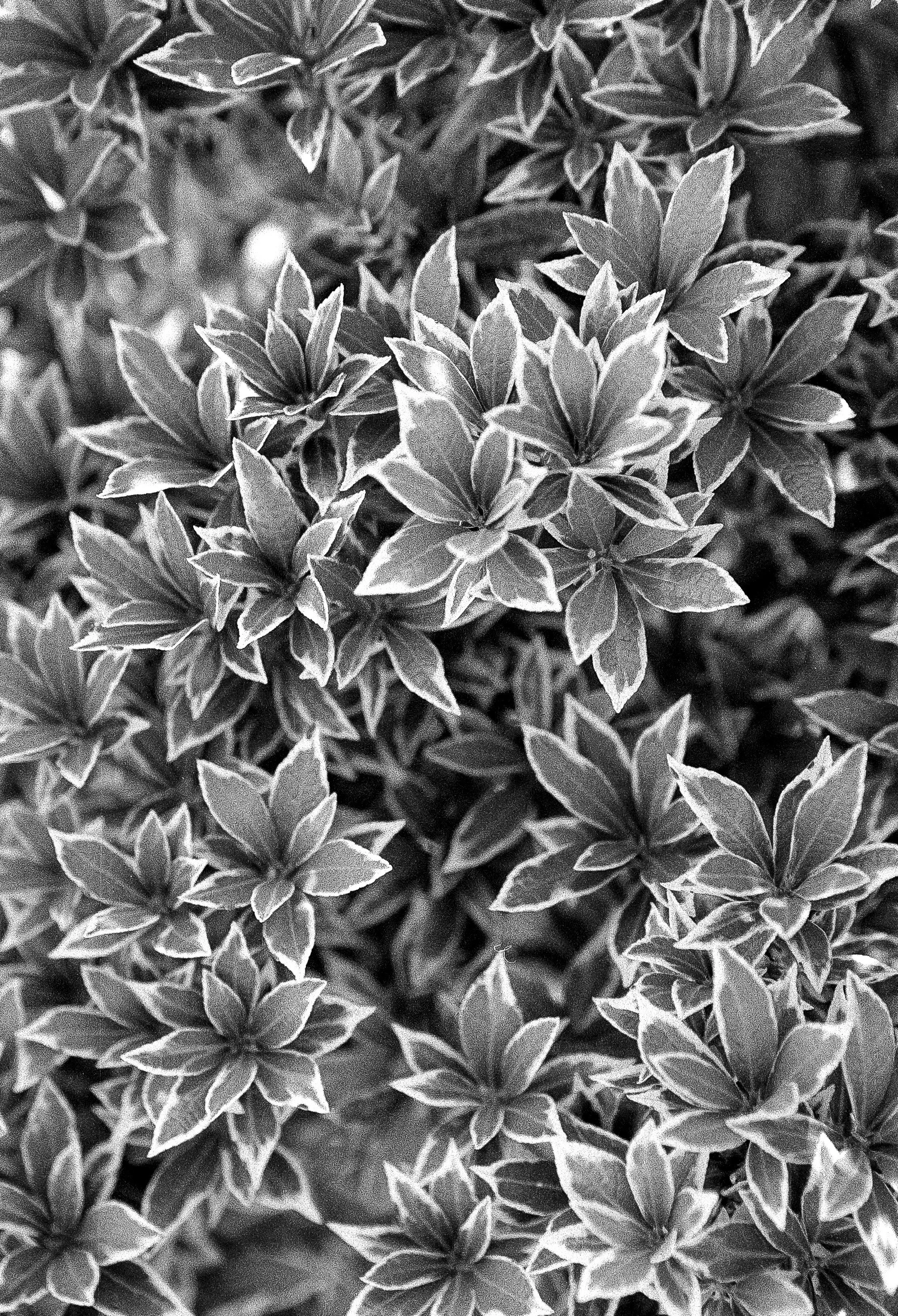 2026-08-24 Summer Spanien HP5  (6 von 24).jpg