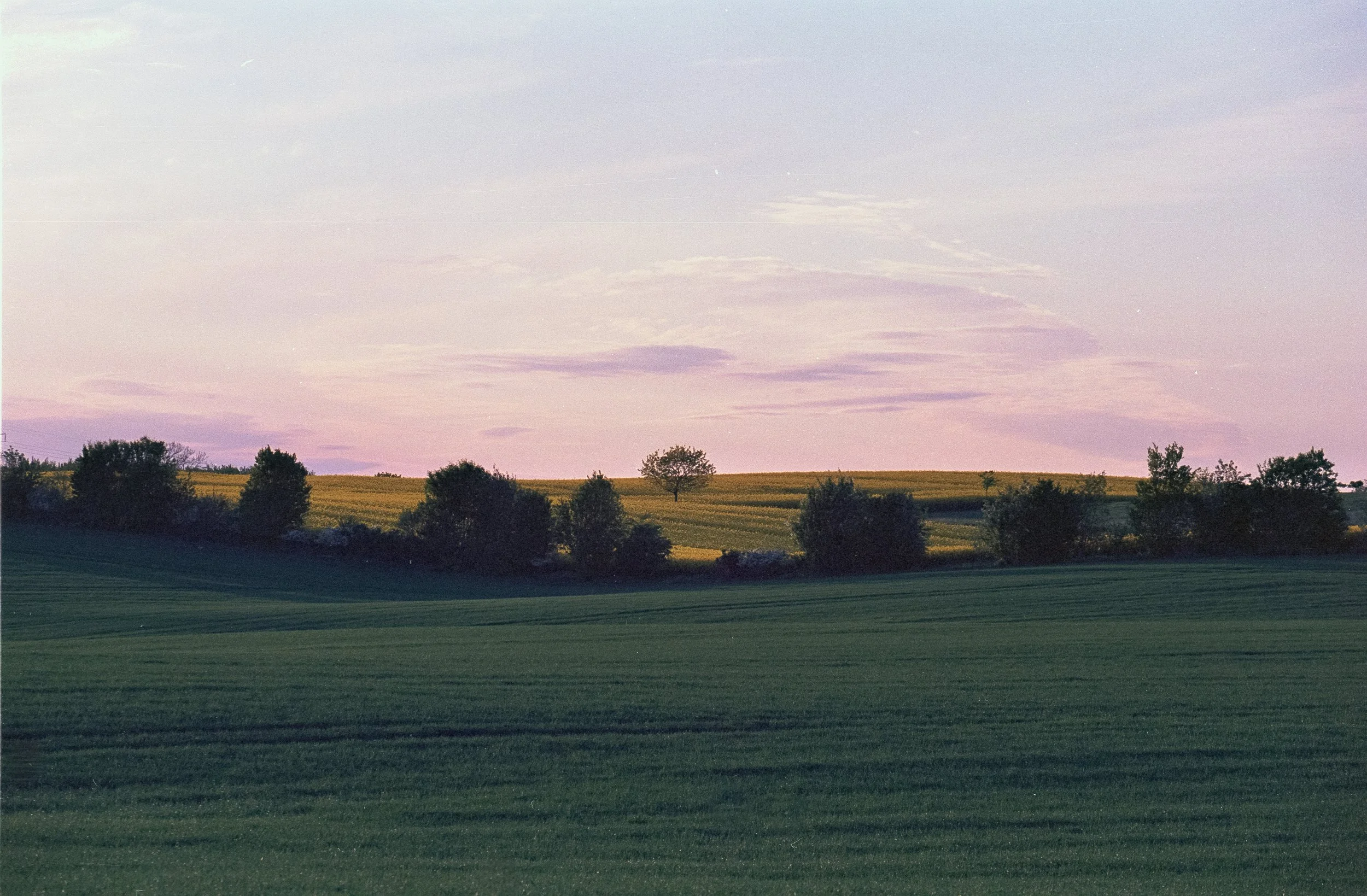 2022-05 Kodak Ektar Dänemark (6 von 29).jpg