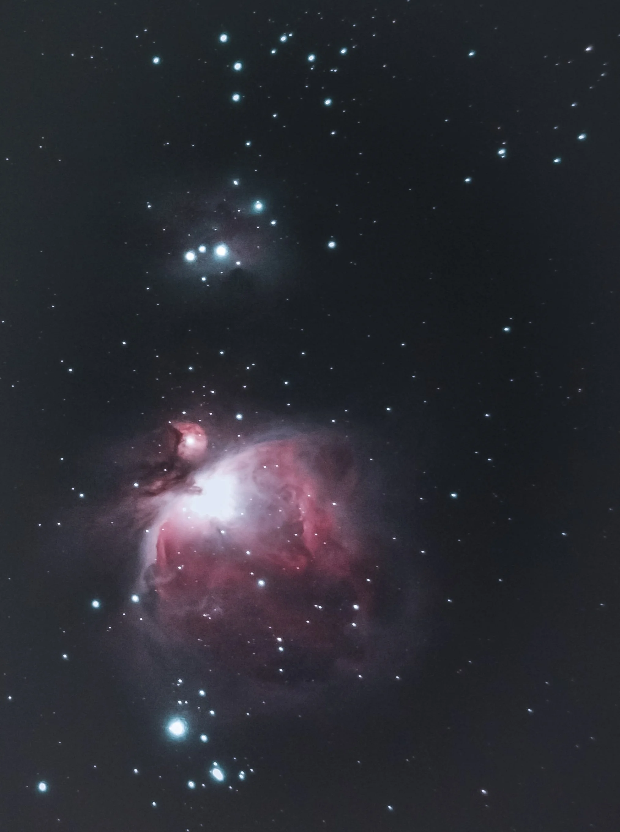 orion (1 von 1)-2.jpg