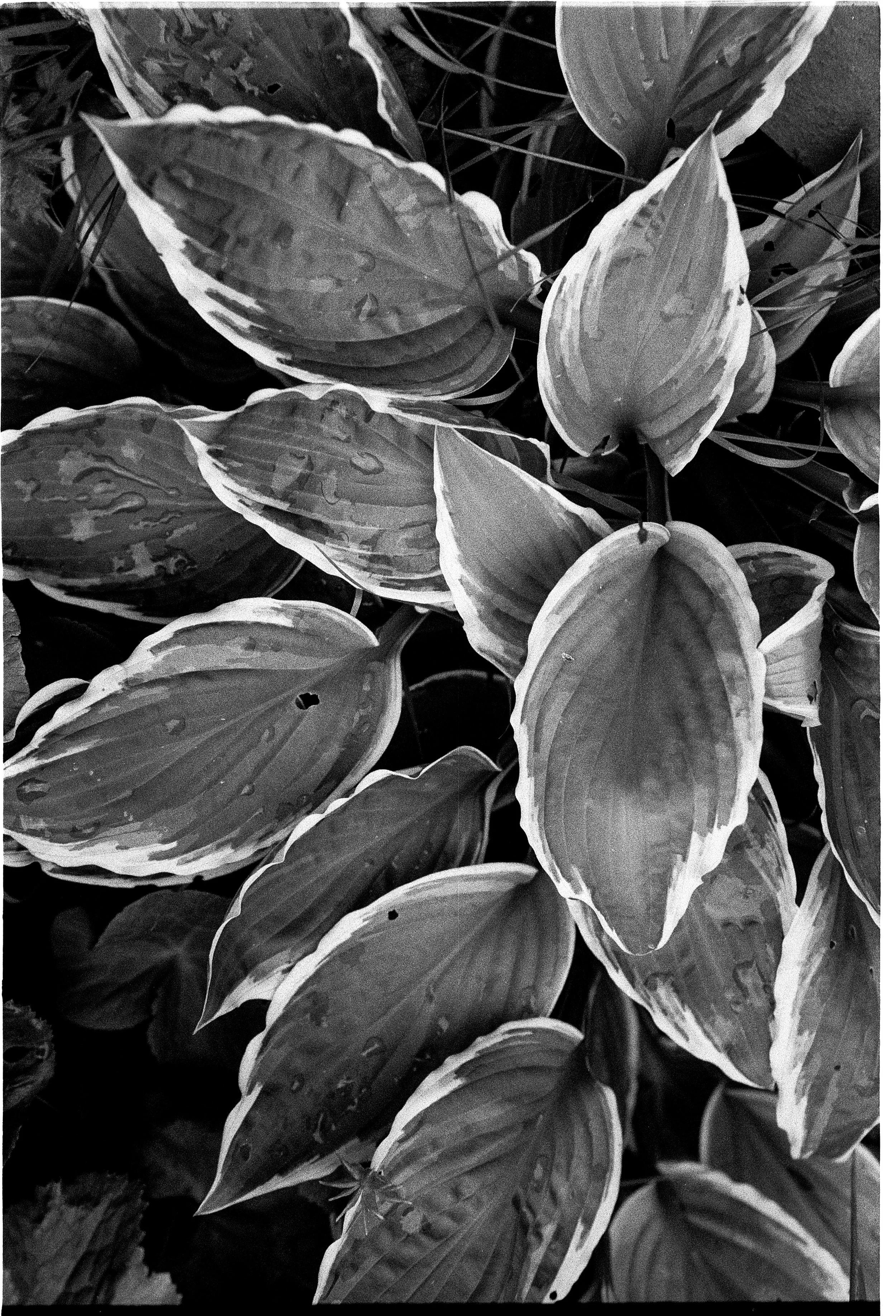 2026-08-24 Summer Spanien HP5  (9 von 24).jpg