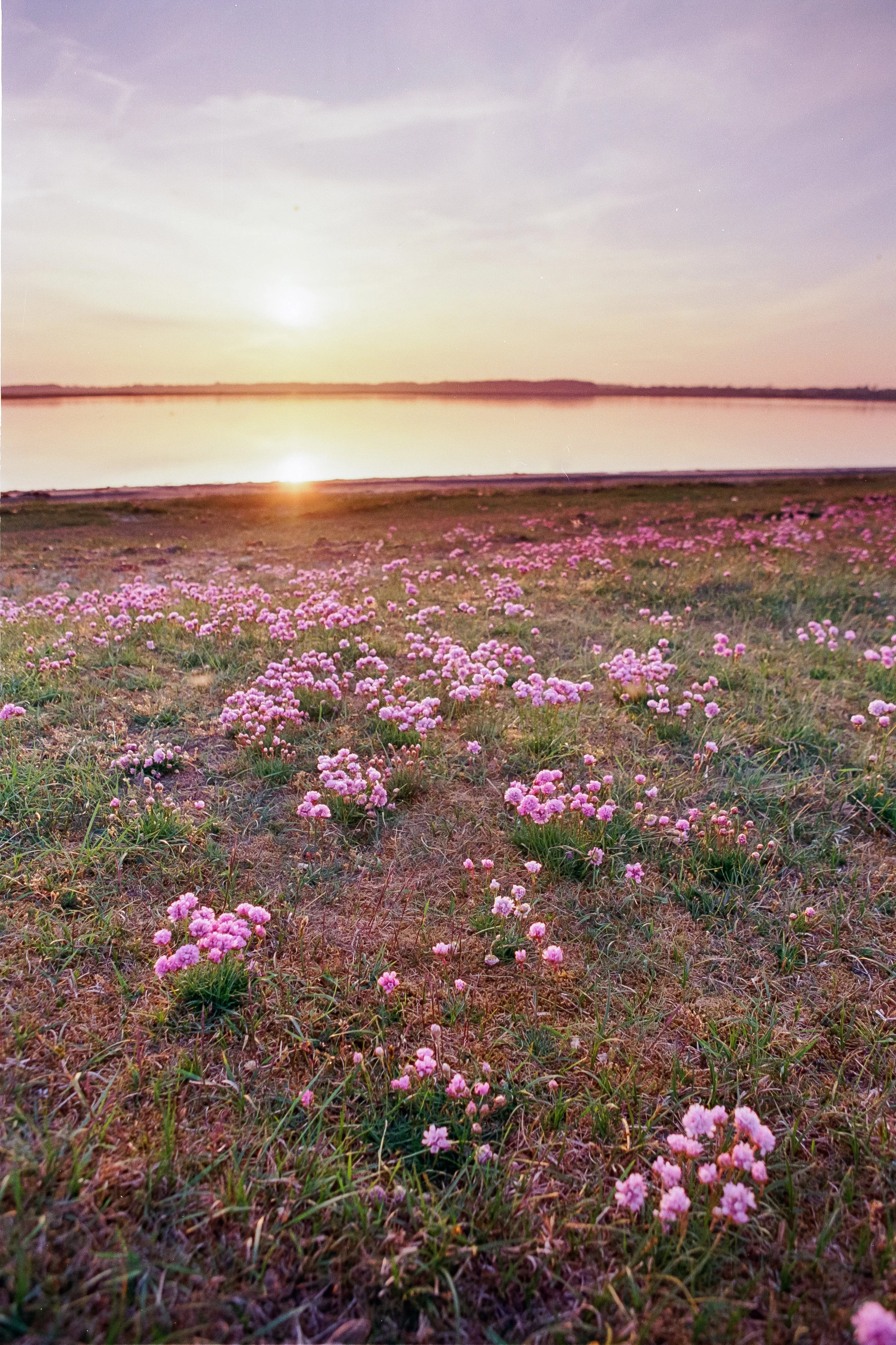 2022-05 Kodak Ektar Dänemark (20 von 29).jpg