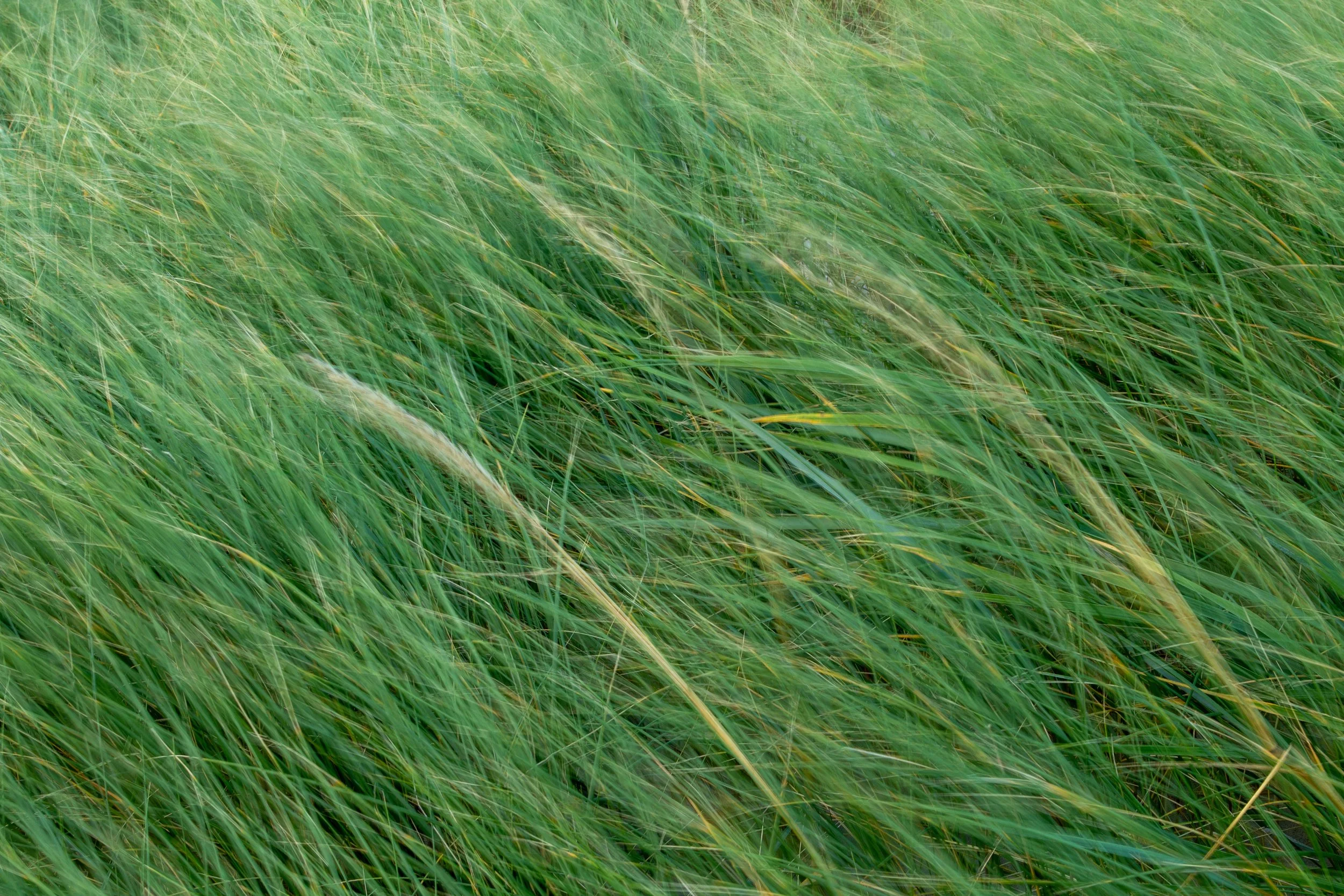 DK2024 (1 von 15).jpg