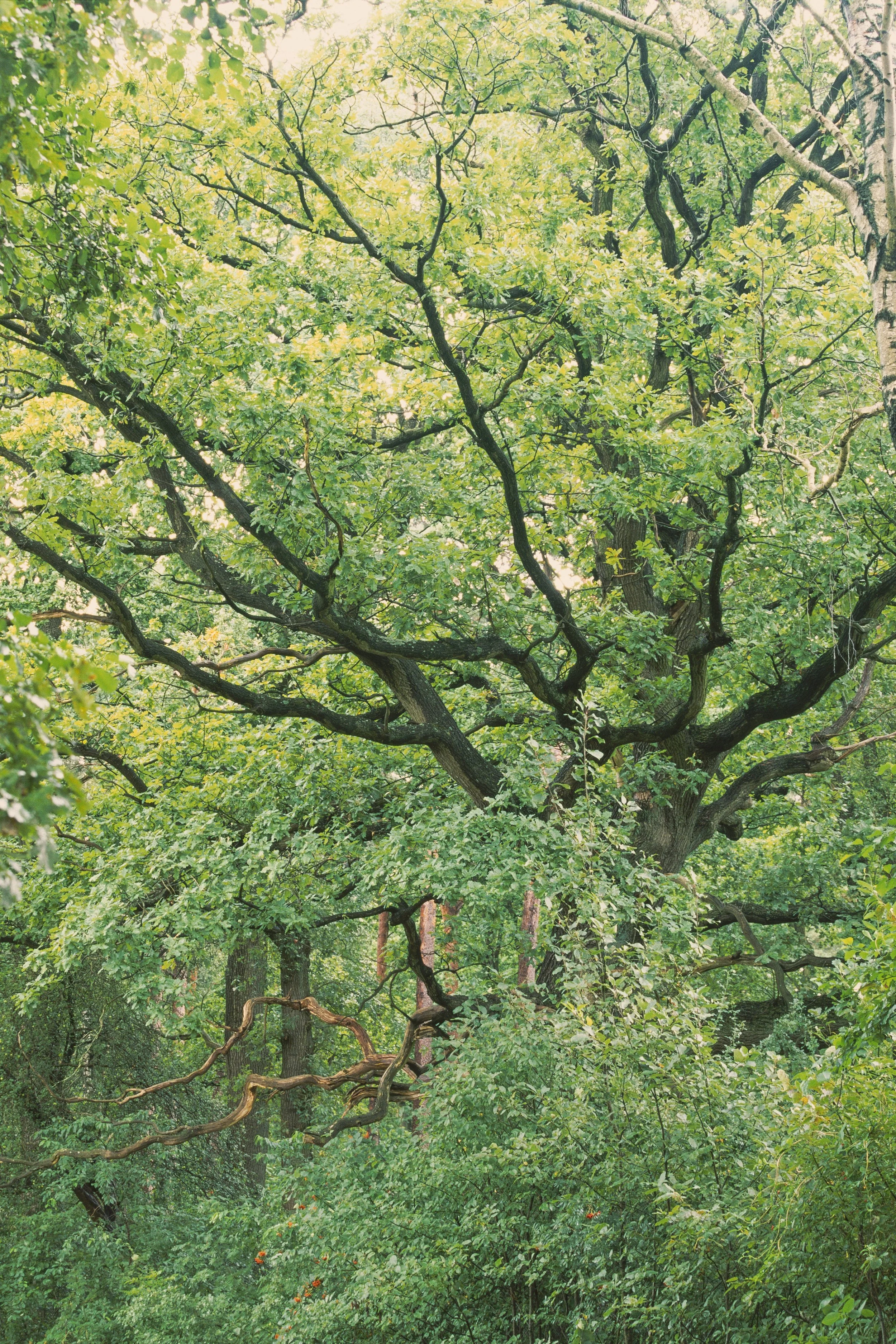 velvia2.jpg